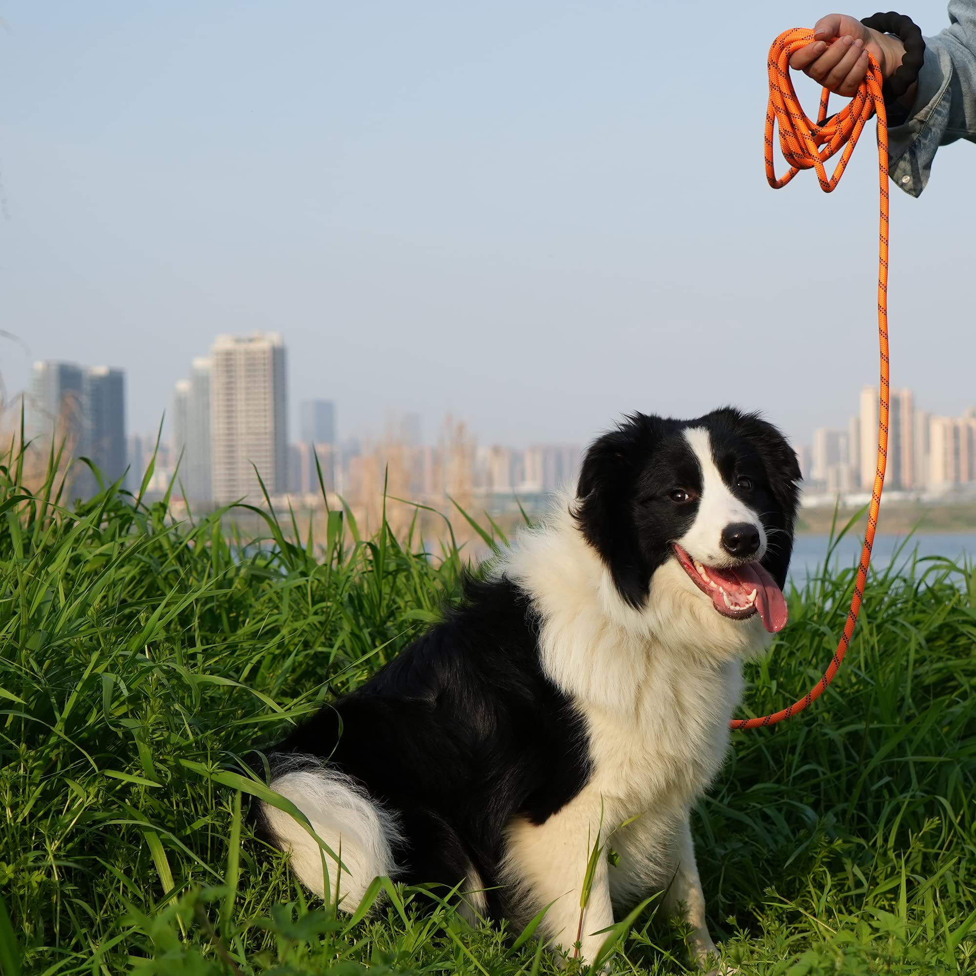 Ntr Heavy Duty Dog Leash,15Ft Orange Leash For Dog Training With Swivel Lockable Hook,Reflective Threads And Comfortable Handle,Dog Lead For Walking,Hunting,Camping For Medium And Large Dog
