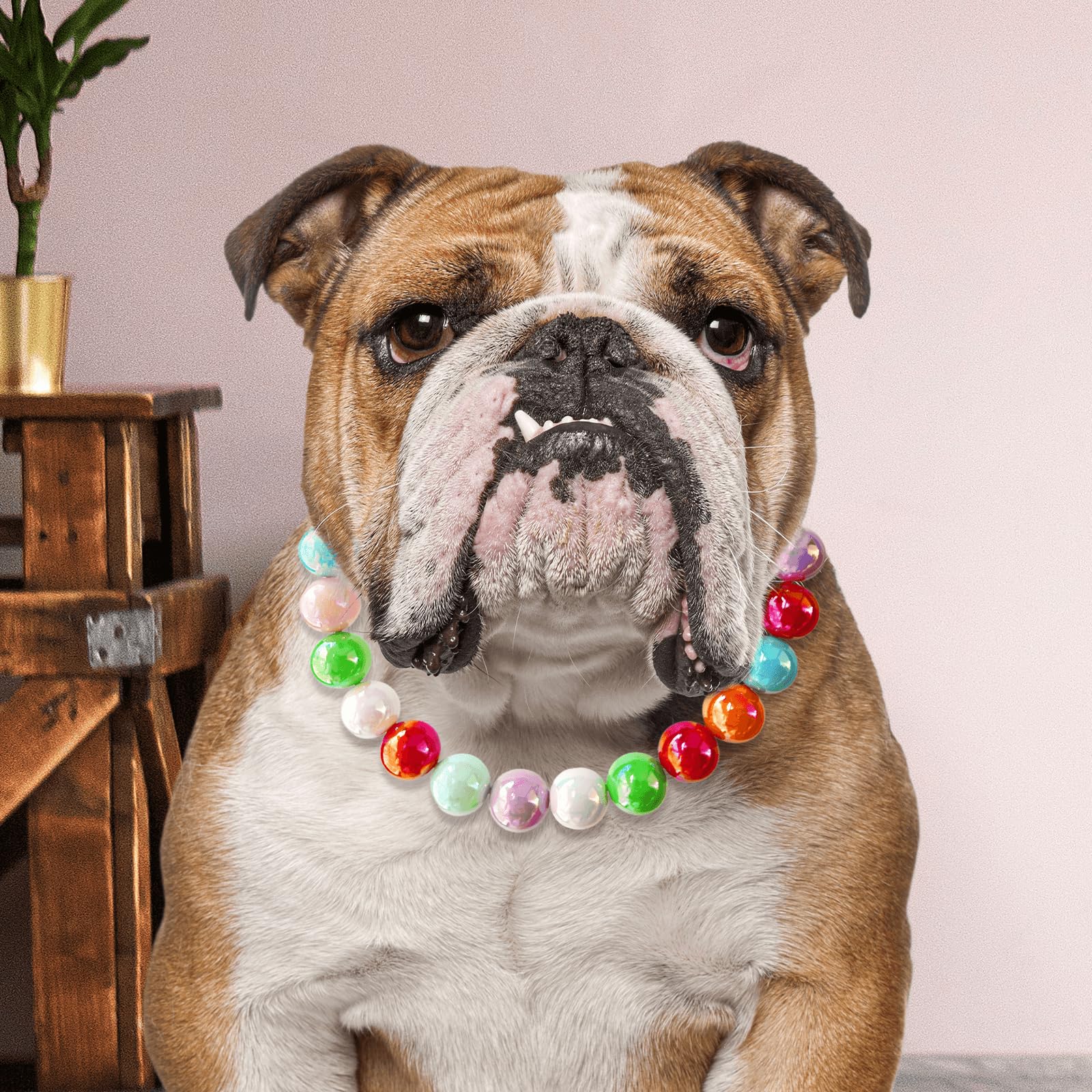 Hosiwei Handmade Rainbow Beaded Dog Collar - 16Mm Chunky Colorful Candy Pearls With Stainless Steel Wire, Adjustable Pet Necklac
