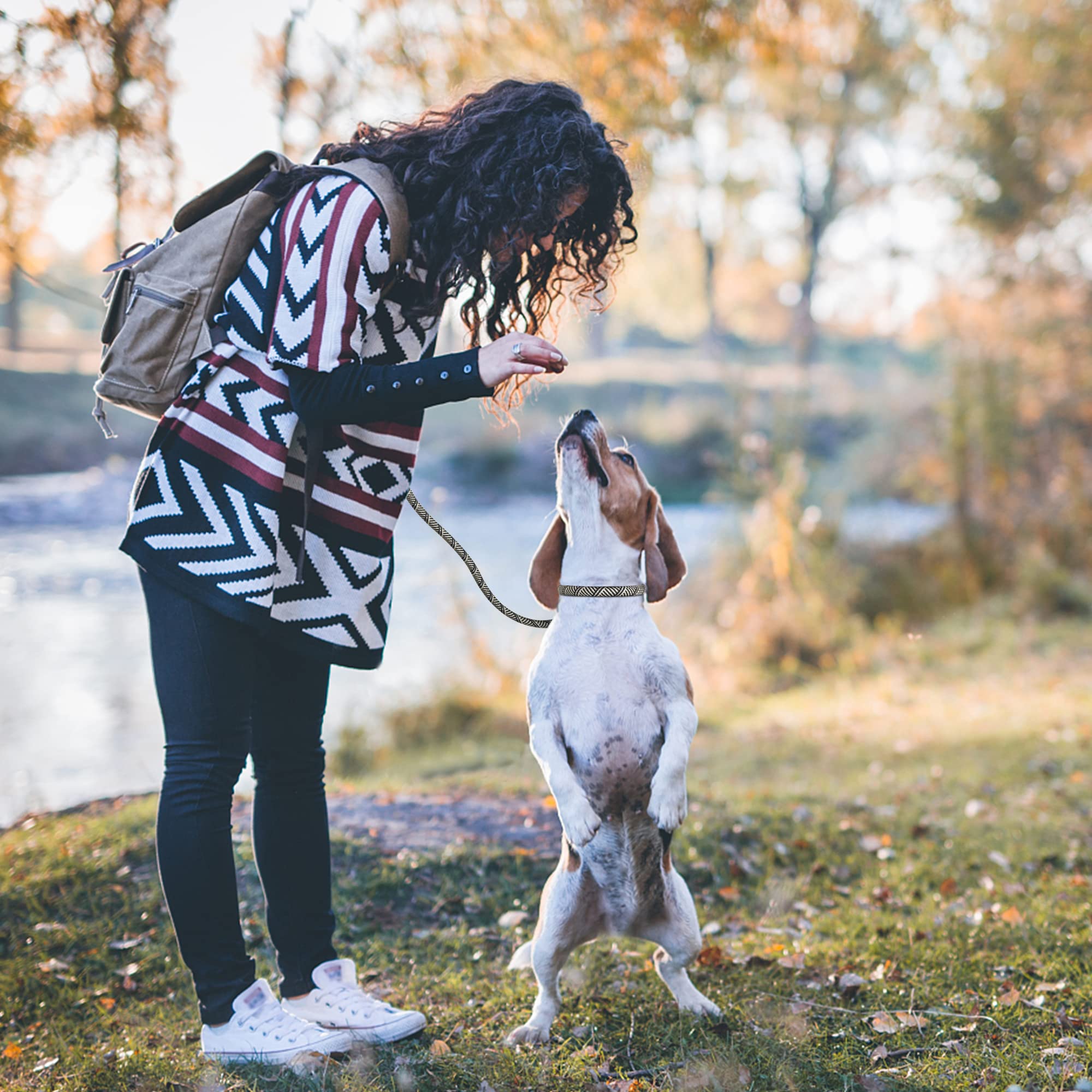 Petifine 6 Ft Slip Lead Dog Leash, Full Reflective Dog Training Leash, Heavy Duty Adjustable Pet Nylon Slip Rope Lead For Small Medium Large Dogs (3/8' -6 Ft, Grey)