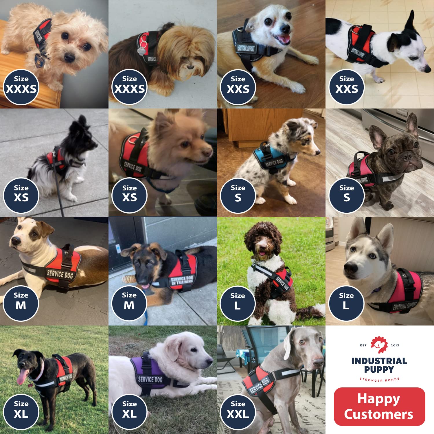 Service Dog Vest With Hook And Loop Straps And Handle - Harness Is Available In 8 Sizes From Xxxs To Xxl - Service Dog Harness Features Reflective Patch And Comfortable Mesh Design (Blue, Xs)