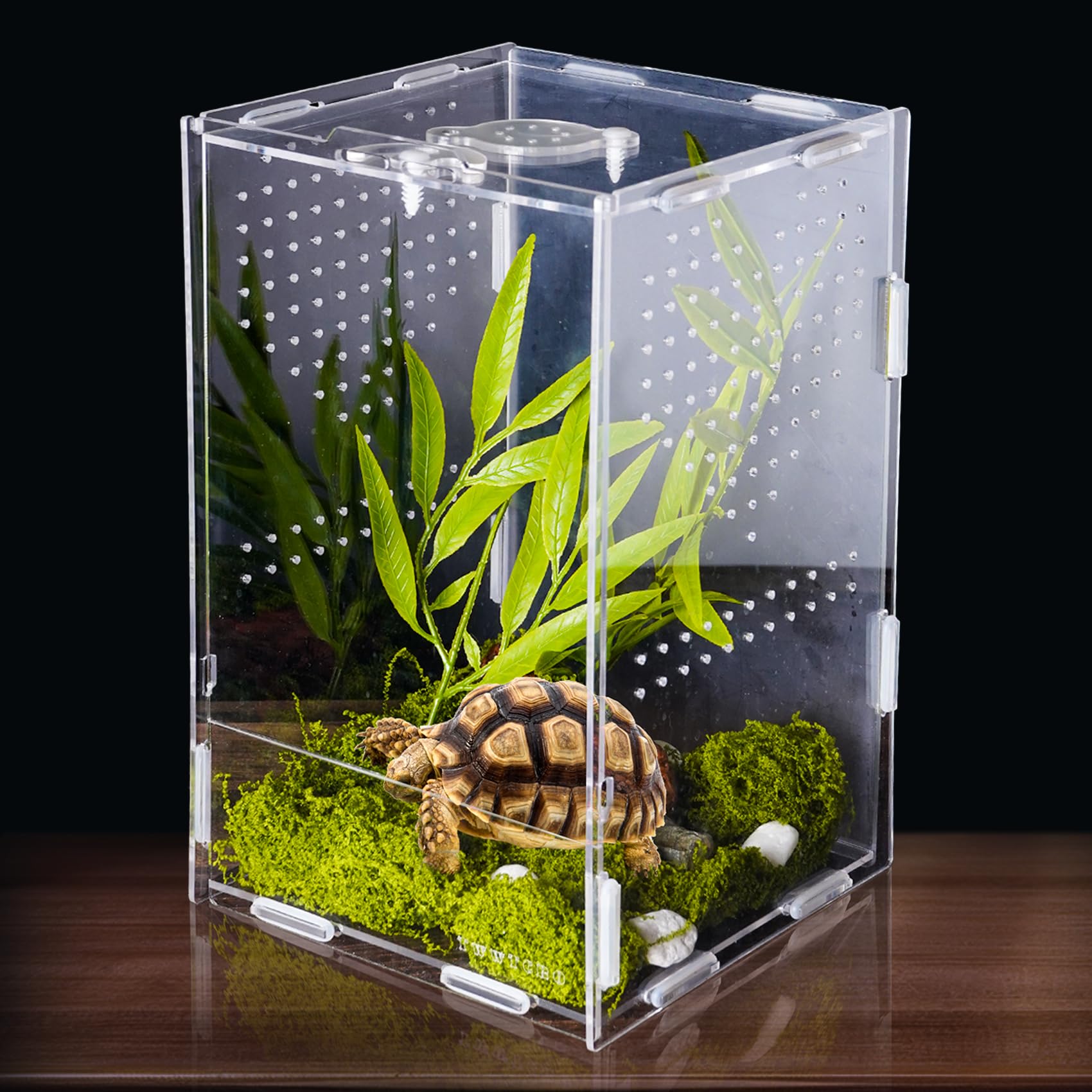 Jumping Spider Enclosure, Acrylic Insect Terrarium, Bug Enclosure, Reptile Cage, Mantis Habitat, Arboreal Tarantula Enclosure, S