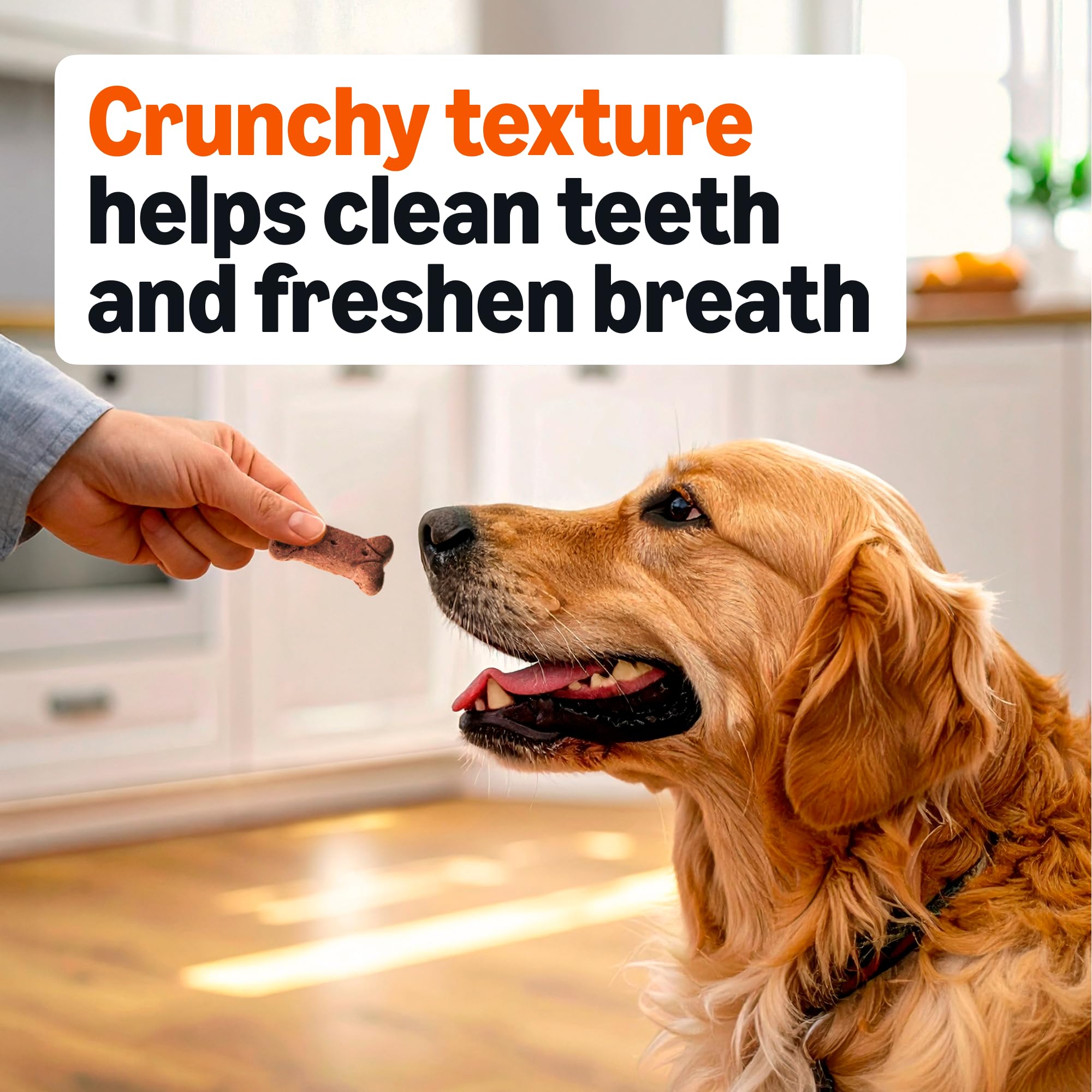 Amazon Basics Crunchy Dog Biscuits, Gravy Basted Flavor, 5 lb Box