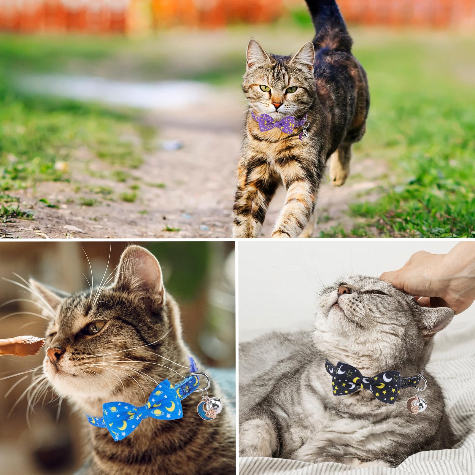 Scenereal Breakaway Cat Collar With Bell, 3 Pack Safety Adjustable Cat Collars With Pendant, Spring Summer Personalised Puppy Ki
