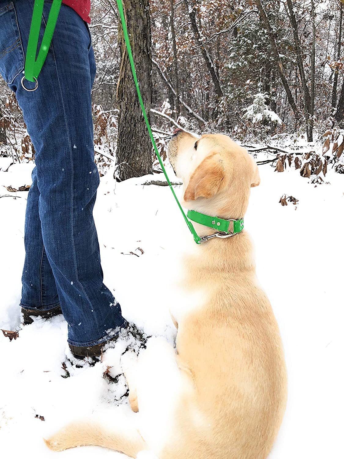 Regal Dog Products Large Light Green Waterproof Dog Collar And Leash Set - Vinyl Coated Biothane Pet Training Collar With Heavy Duty Center Ring & 5Ft Leash - Other Sizes For Puppy Small & Medium Dogs
