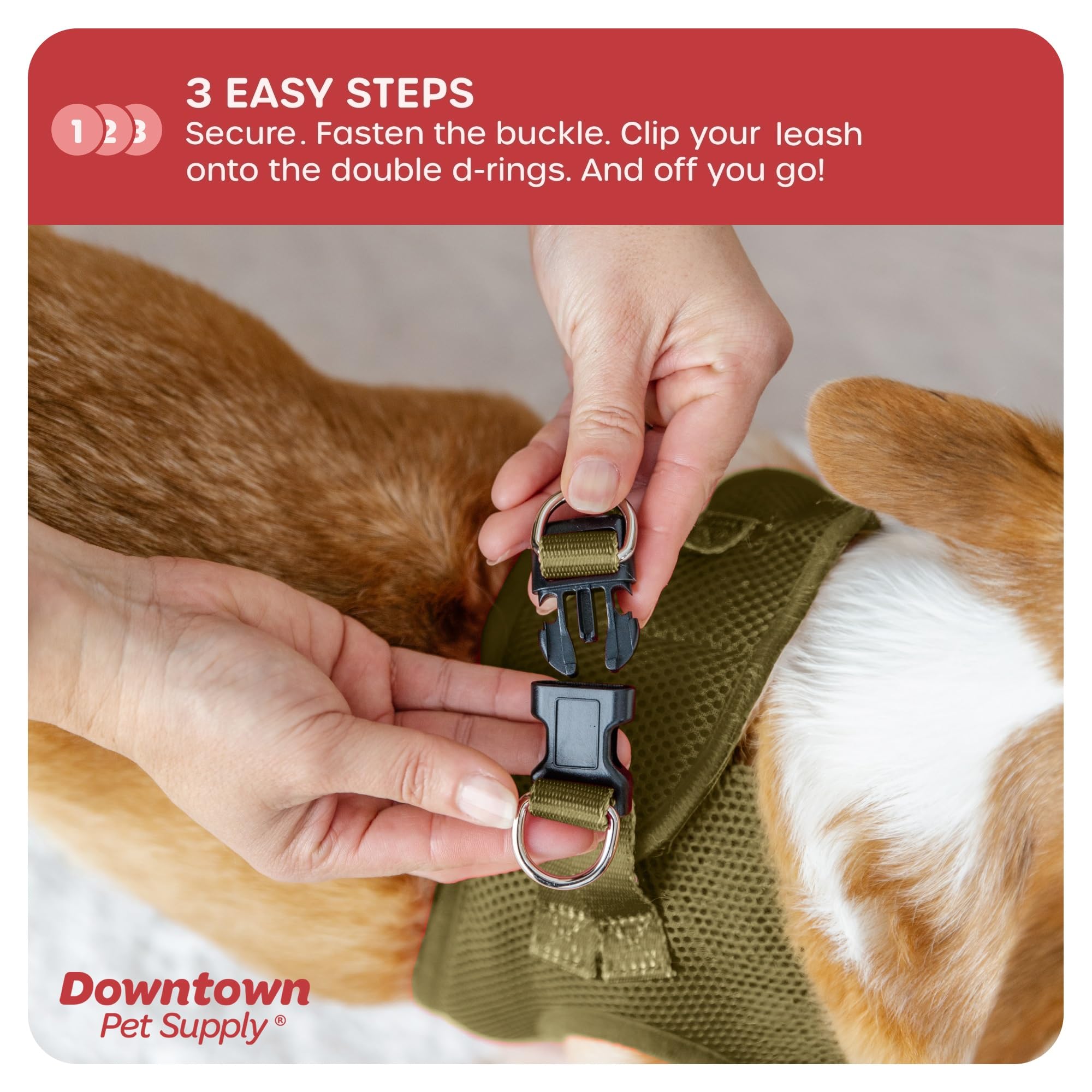 Downtown Pet Supply Step In Dog Harness For Small Dogs No Pull, Large, Hunter Green - Adjustable Harness With Padded Mesh Fabric