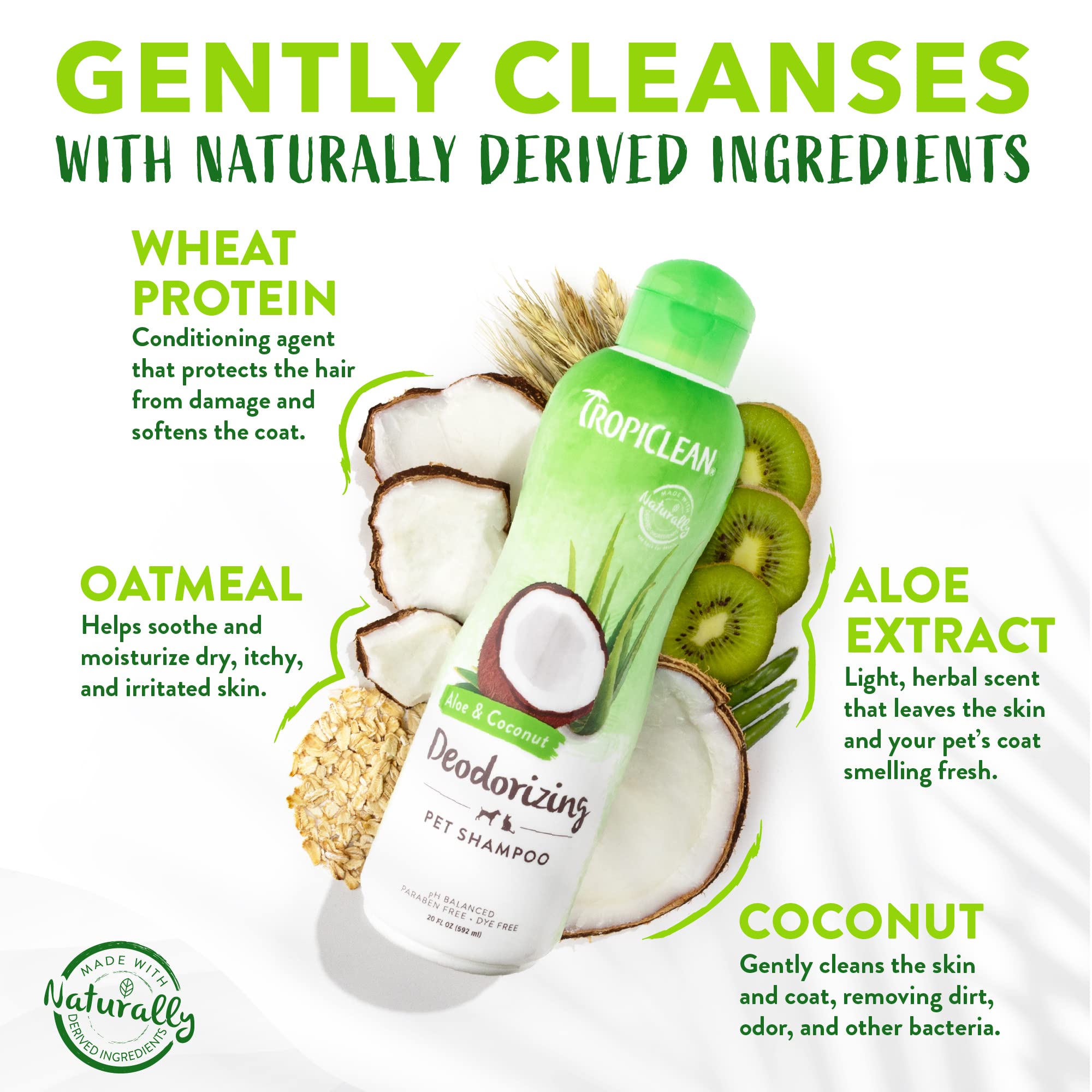 Tropiclean Aloe & Coconut Deodorizing Dog Shampoo For Smelly Dogs | Odor Control Shampoo For Stinky Dogs | Natural Pet Shampoo Derived From Natural Ingredients | Cat Friendly | Made In The Usa | 20 Oz