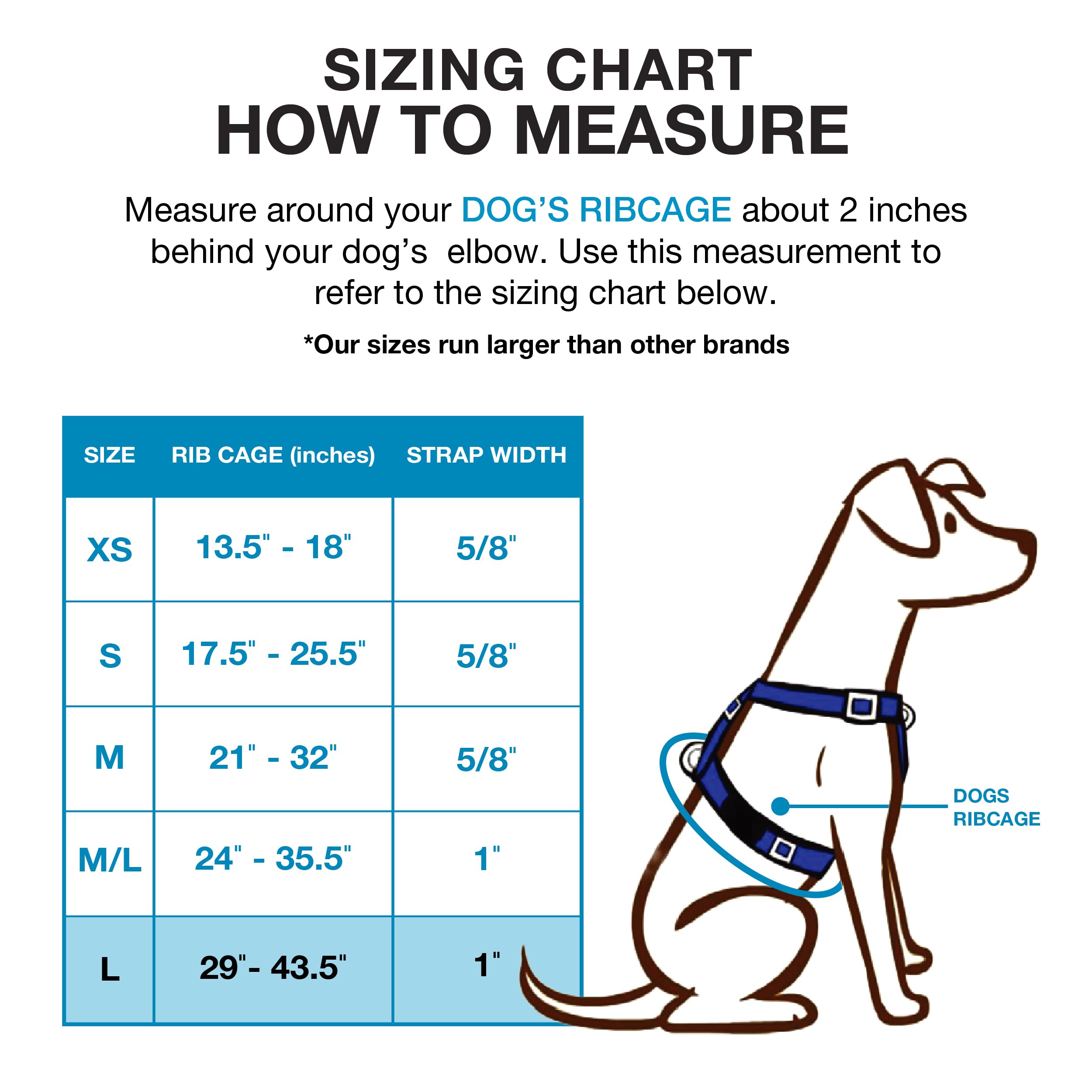 Blue-9 Buckle-Neck Balance Harness, Fully Customizable Fit No-Pull Harness, Ideal For Dog Training And Obedience, Made In The Usa, Hunter Green, Large