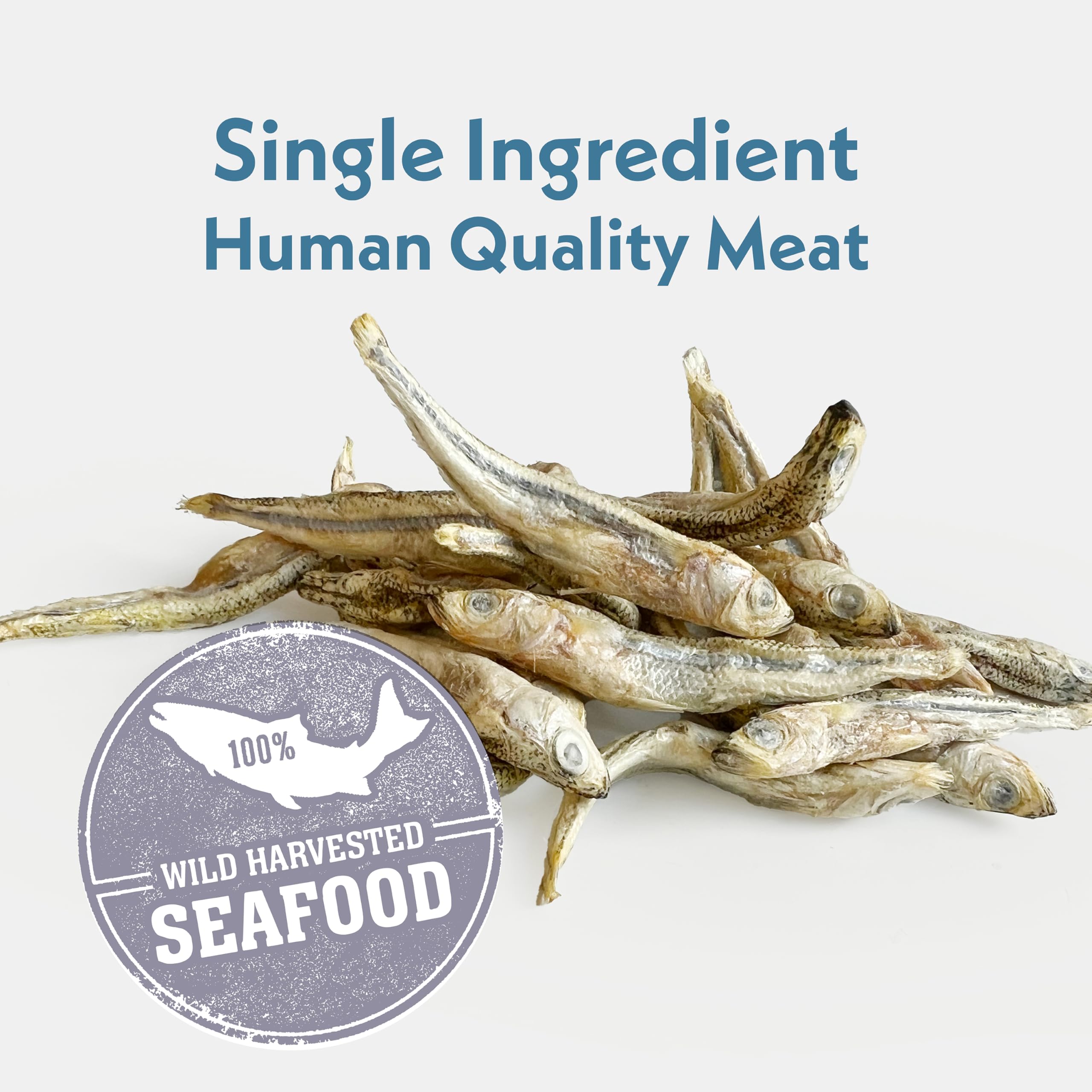Fresh Is Best - Freeze Dried Healthy Raw Meat Treats for Dogs & Cats - Silverside Minnows