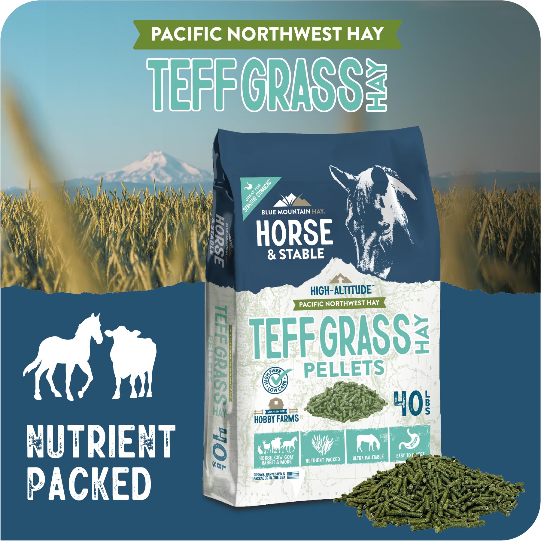 Blue Mountain High Altitude Horse Hay Pellets | Ultra Premium Alfalfa, Timothy, Orchard, Teff Hay | Nutrient Dense | Cattle, She