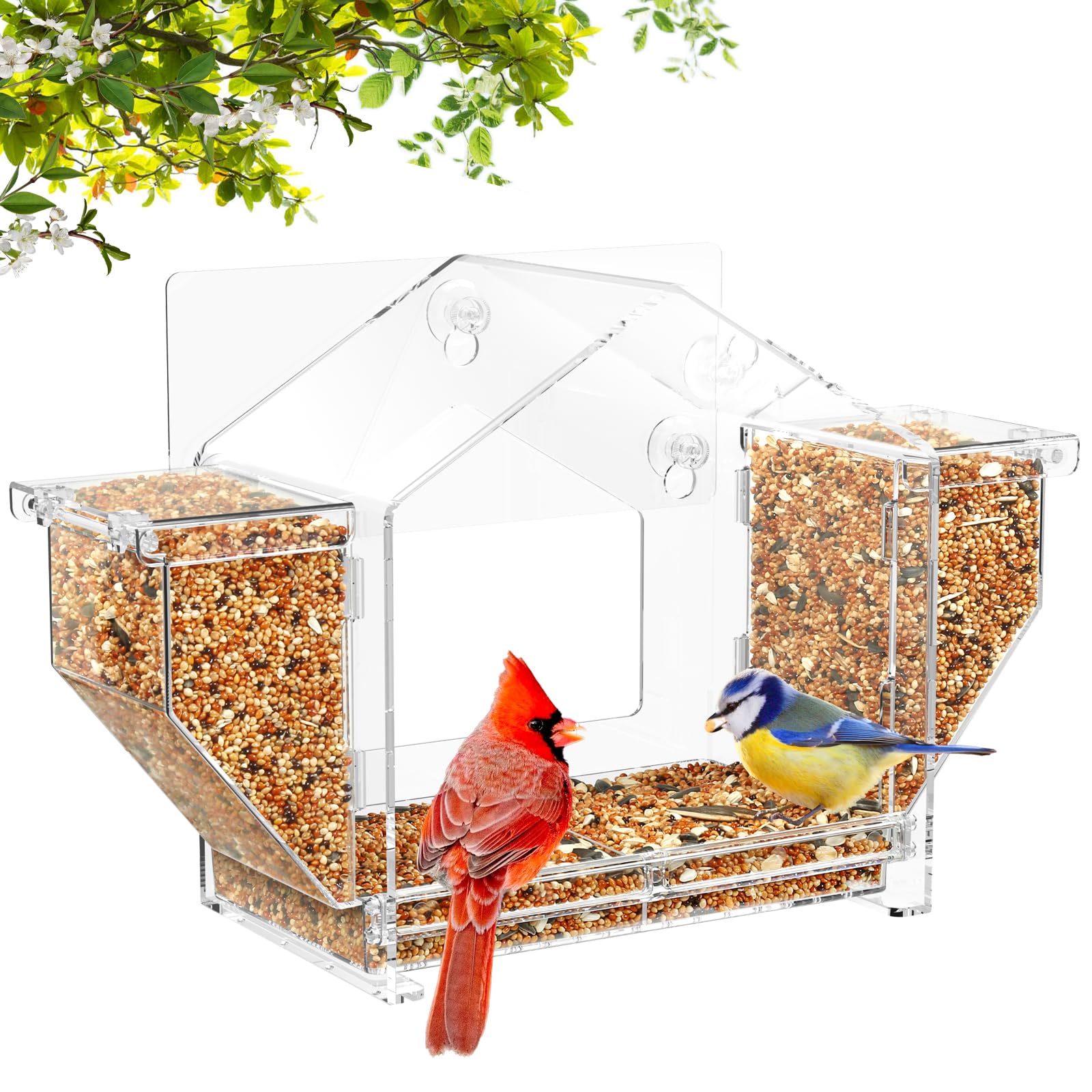 Window Bird Feeder, Clear Birdfeeder for Window Larger Viewing, Squirrel-Proof Bird Watching with Strong Suction Cup and Self-Ad
