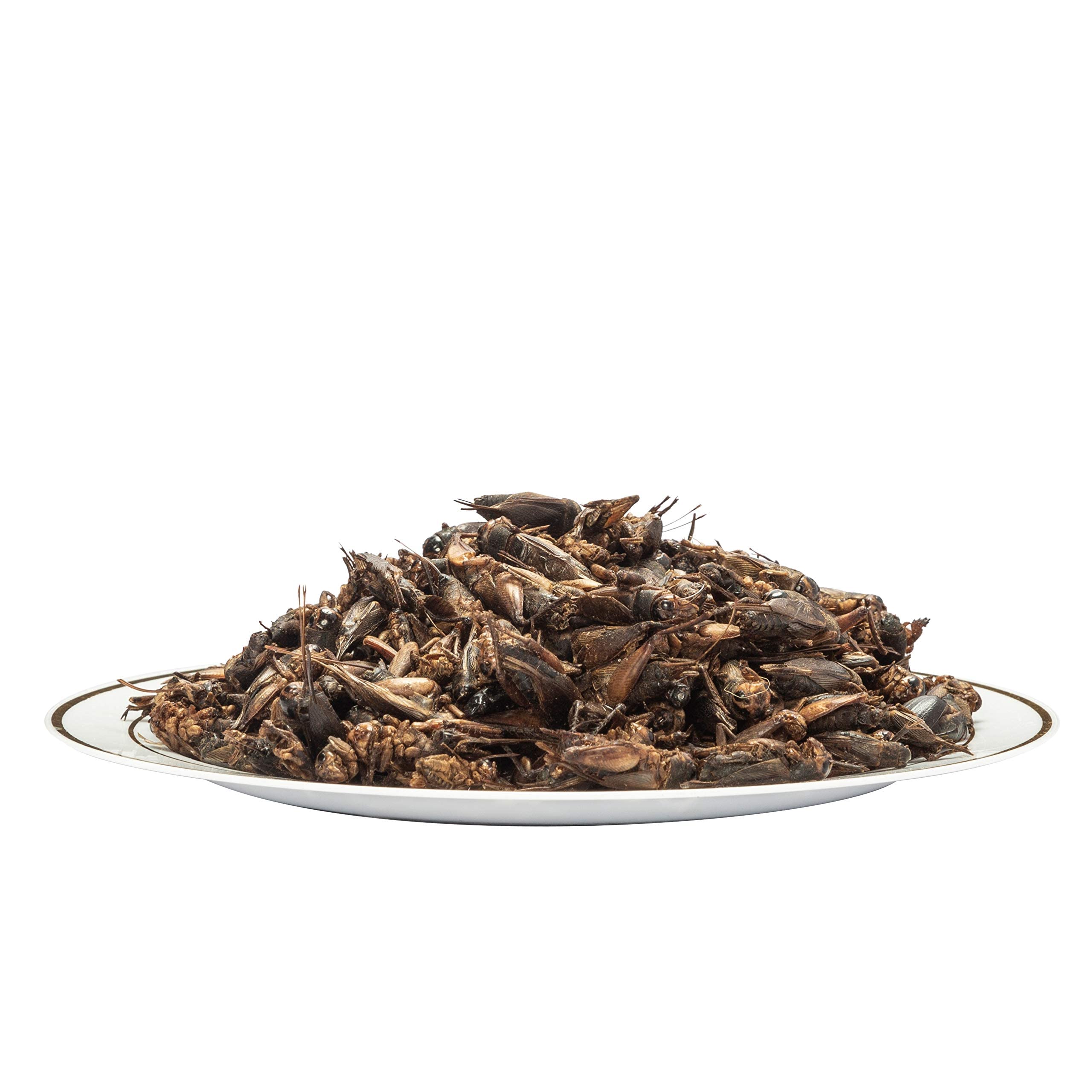Amzey Appetizing Mealworms Natural Dried Crickets - Food for Bearded Dragons, Wild Birds, Chickens, Fish - (8 oz Resealable Bag)