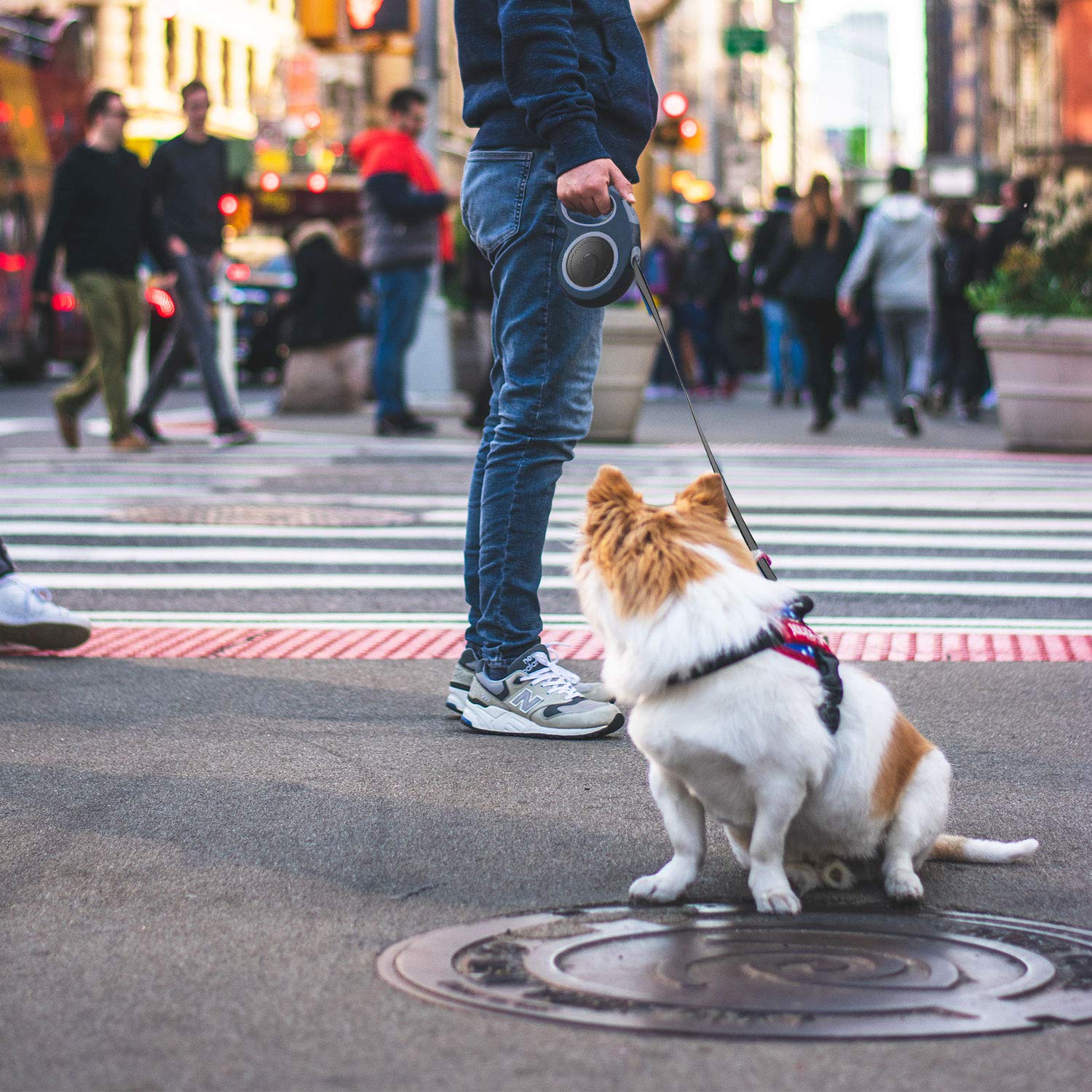 Segarty Dog Leash Retractable 26Ft, Dog Leashes For Small Medium Large Pets Up To 110Lbs, Heavy Duty 1 Button Break & Lock No Ta