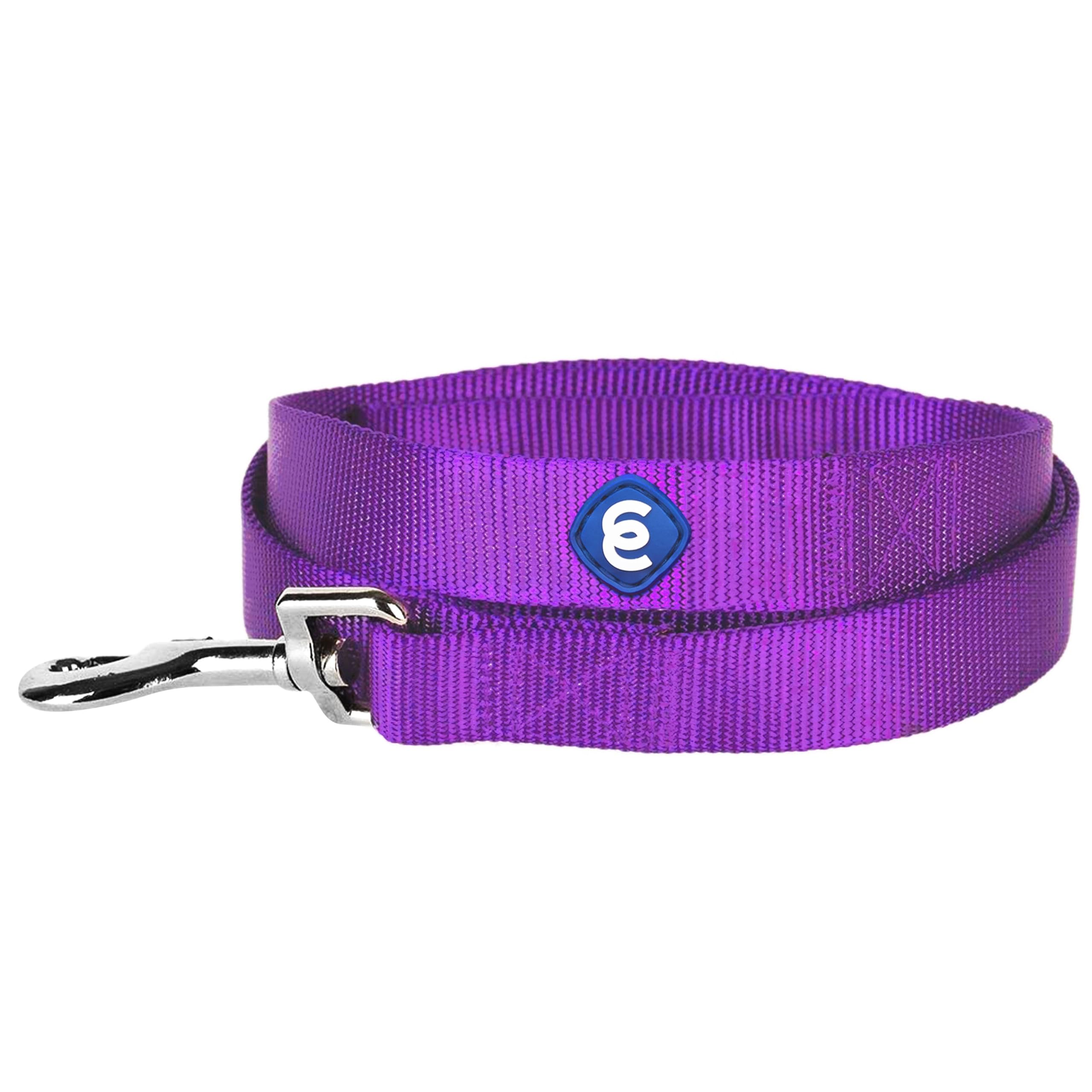 Blueberry Pet Essentials 19 Colors Durable Classic Dog Leash 4 Ft X 1'', Dark Orchid, Large, Basic Nylon Leashes For Dogs