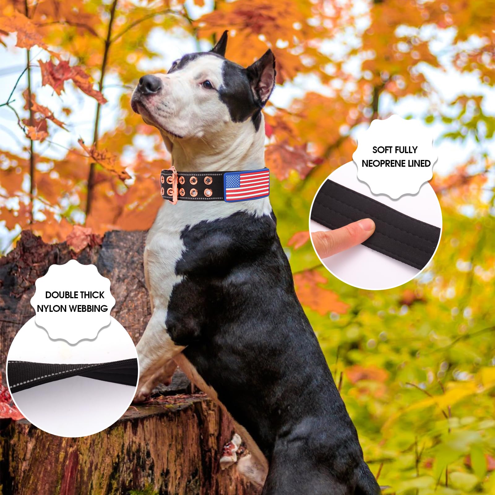 Yunleparks Heavy Duty Tactical Dog Collar With Neoprene Padded And Metal Buckle, Reflective Nylon For Medium To Large Dogs(Black