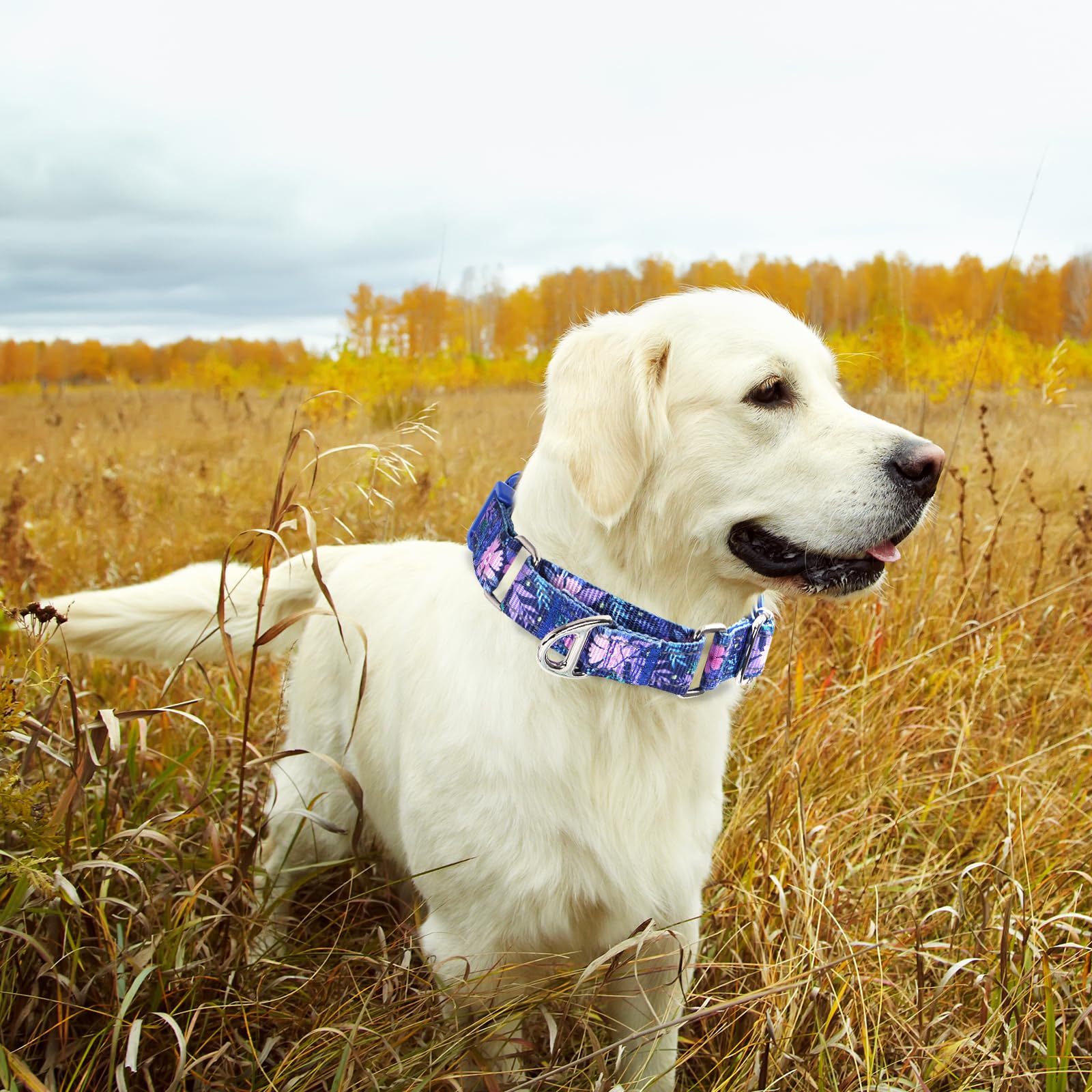 Martingale Collar For Dogs, Reflective Adjustable Soft Nylon Dog Collars With Boho Flower Patterns For Small Medium Large Dog (L