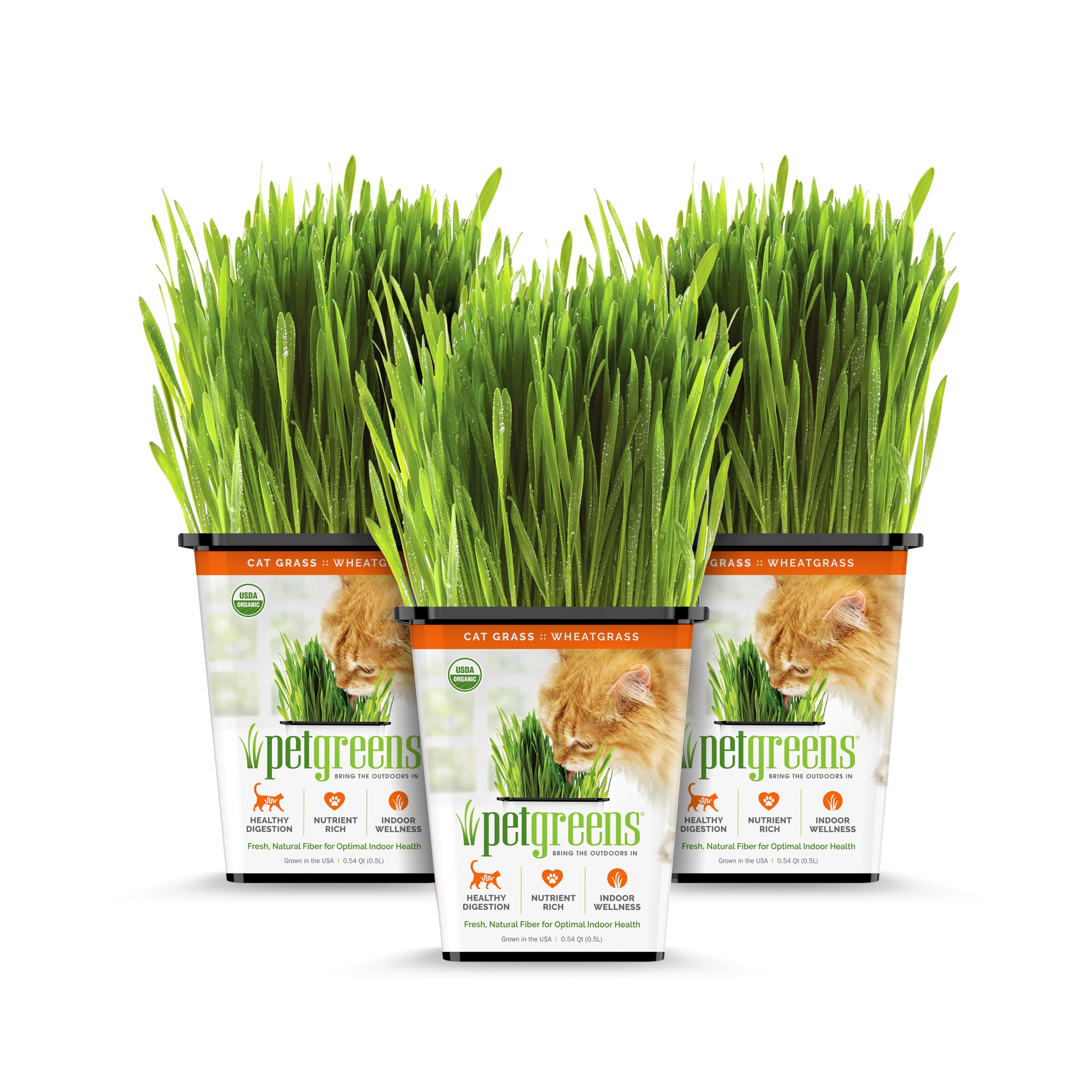 100% Certified Organic Fresh Cat Grass 3-Pack. Natural Cat Treat