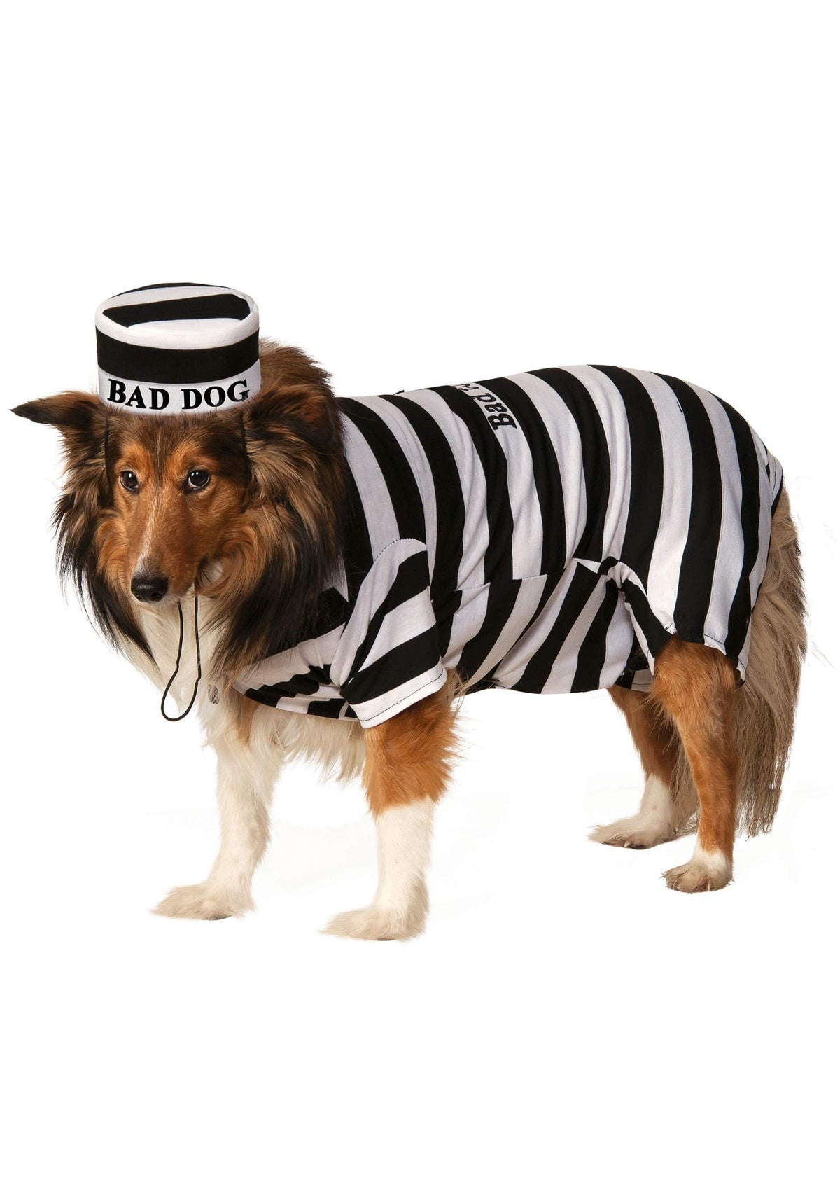 Rubie'S Prisoner Pet Costume, X-Large