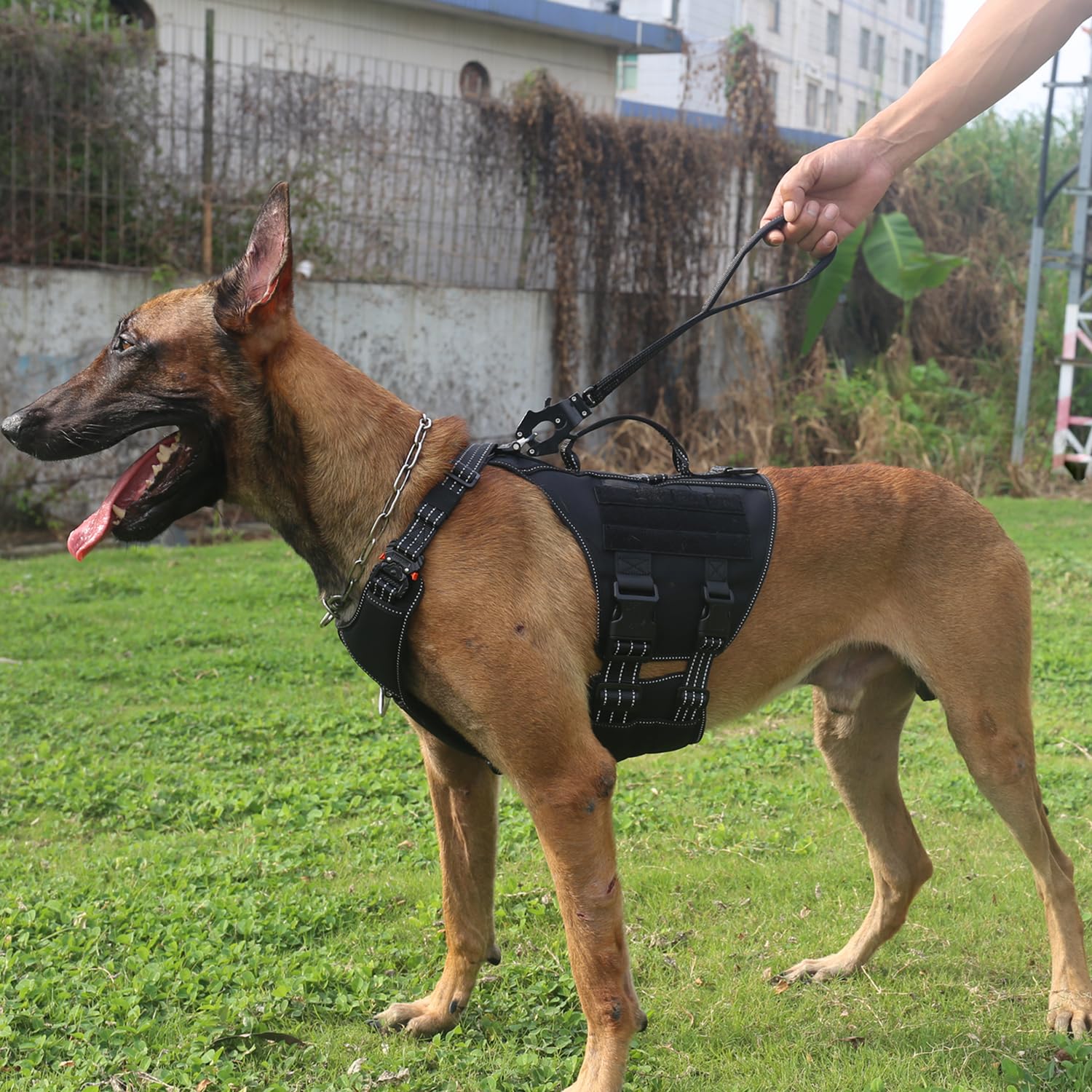 Icefang Short Dog Leash 18 Inch Reflective Nylon Traffic Leash With Padded Handle,Heavy Duty Auto Lock Swivel Clip For Medium La