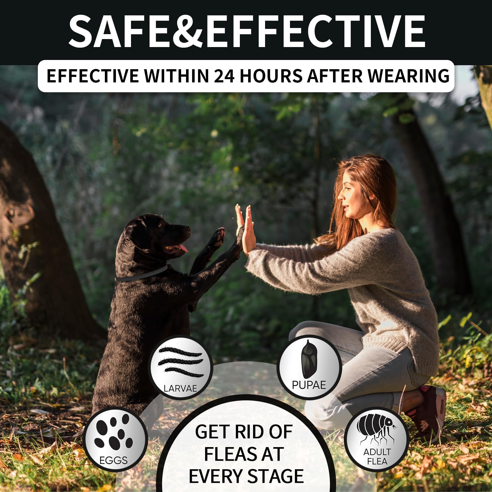 4 Pack Flea Collar For Dogs, Dog Flea And Tick Collar 32 Months Flea And Tick Treatment For Dog, Waterproof Adjustable Dog Flea