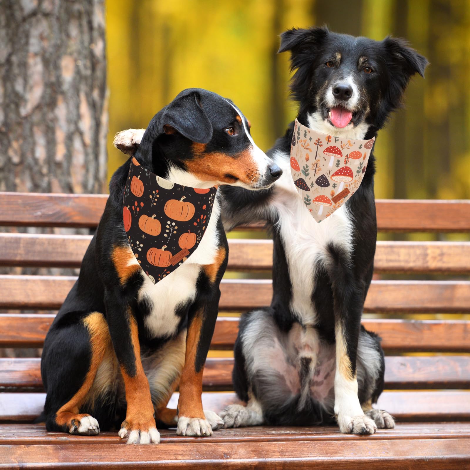 Ptdecor Fall Dog Bandana, Pumpkin Mushroom Design Scarf Reversible Holiday Dog Scarf, Triangle Thanksgiving Bandanas For Large X