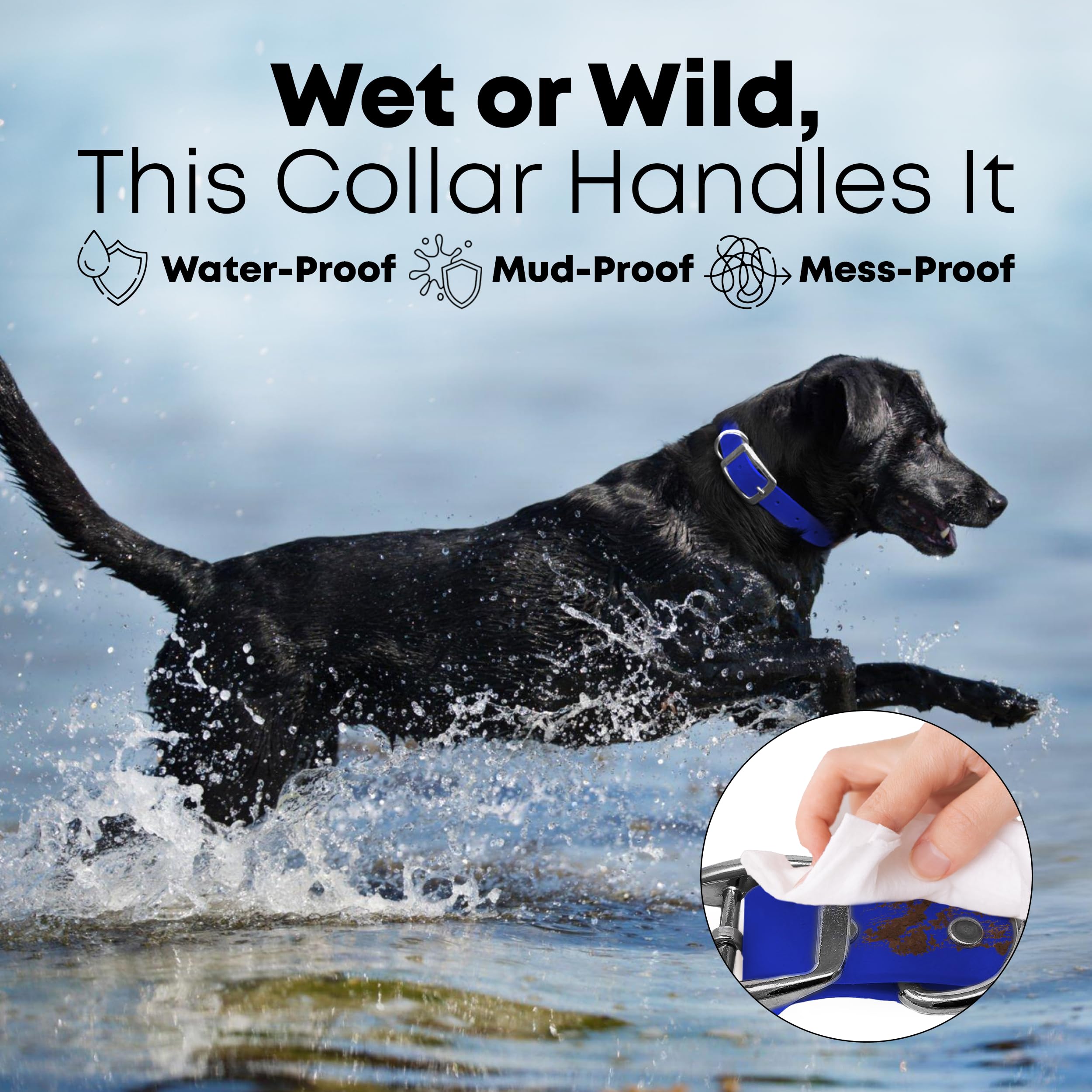 Regal Dog Products Medium Blue Dog Collar With Heavy Duty Double Buckle & D Ring | Vinyl Coated, Custom Fit, Adjustable Biothane
