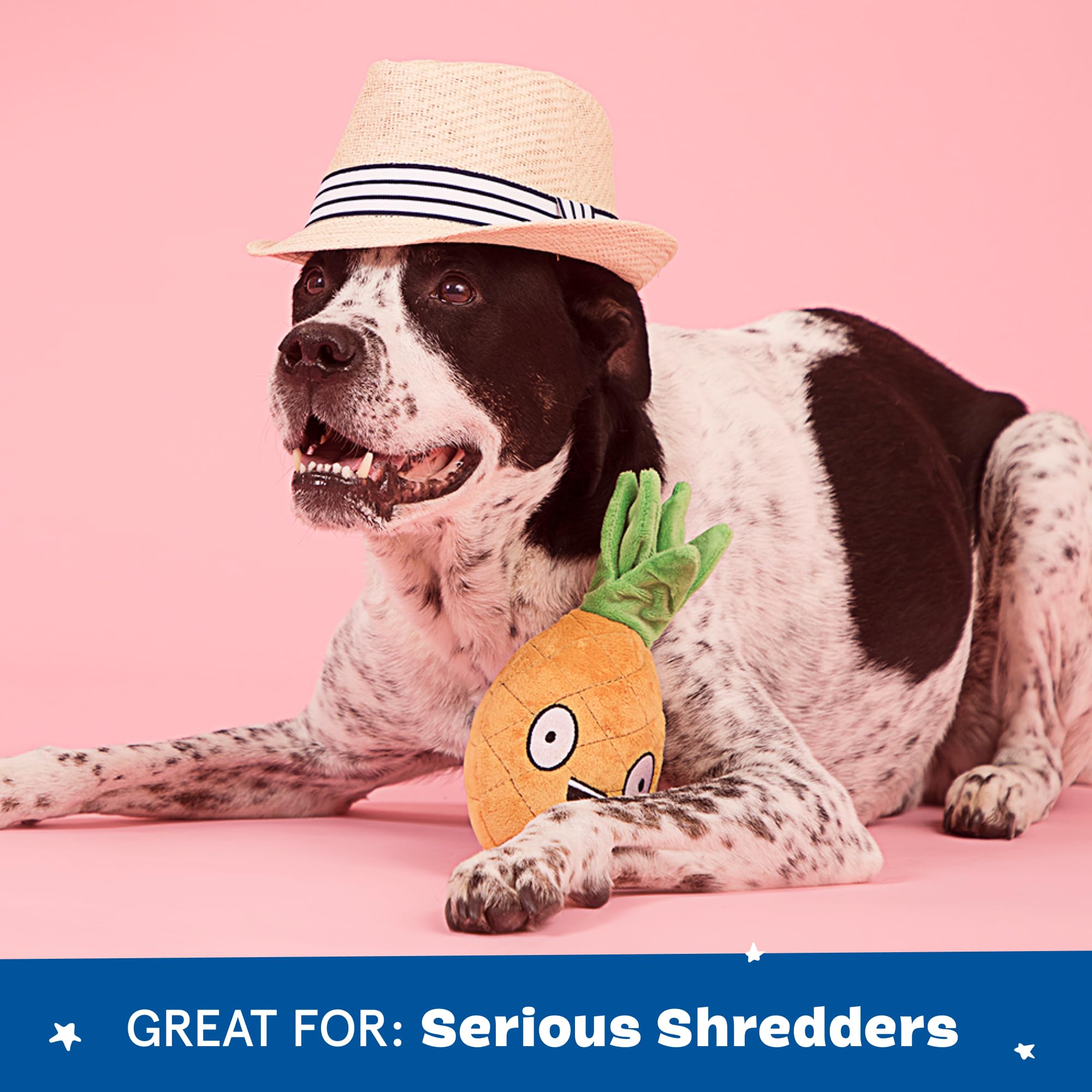 Barkbox Dog Toy 2 In 1 Interactive, Plush Exterior With Squeaker & Crinkle Material, Tearable Dog Toy With Squeaky Spikey Ball I