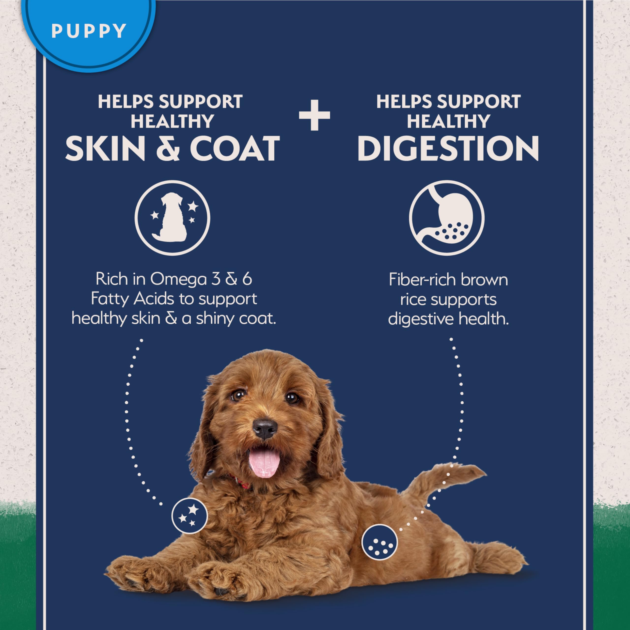 Natural Balance Limited Ingredient Puppy Dry Dog Food with Healthy Grains, Lamb & Brown Rice Recipe, 12 Pound (Pack of 1)