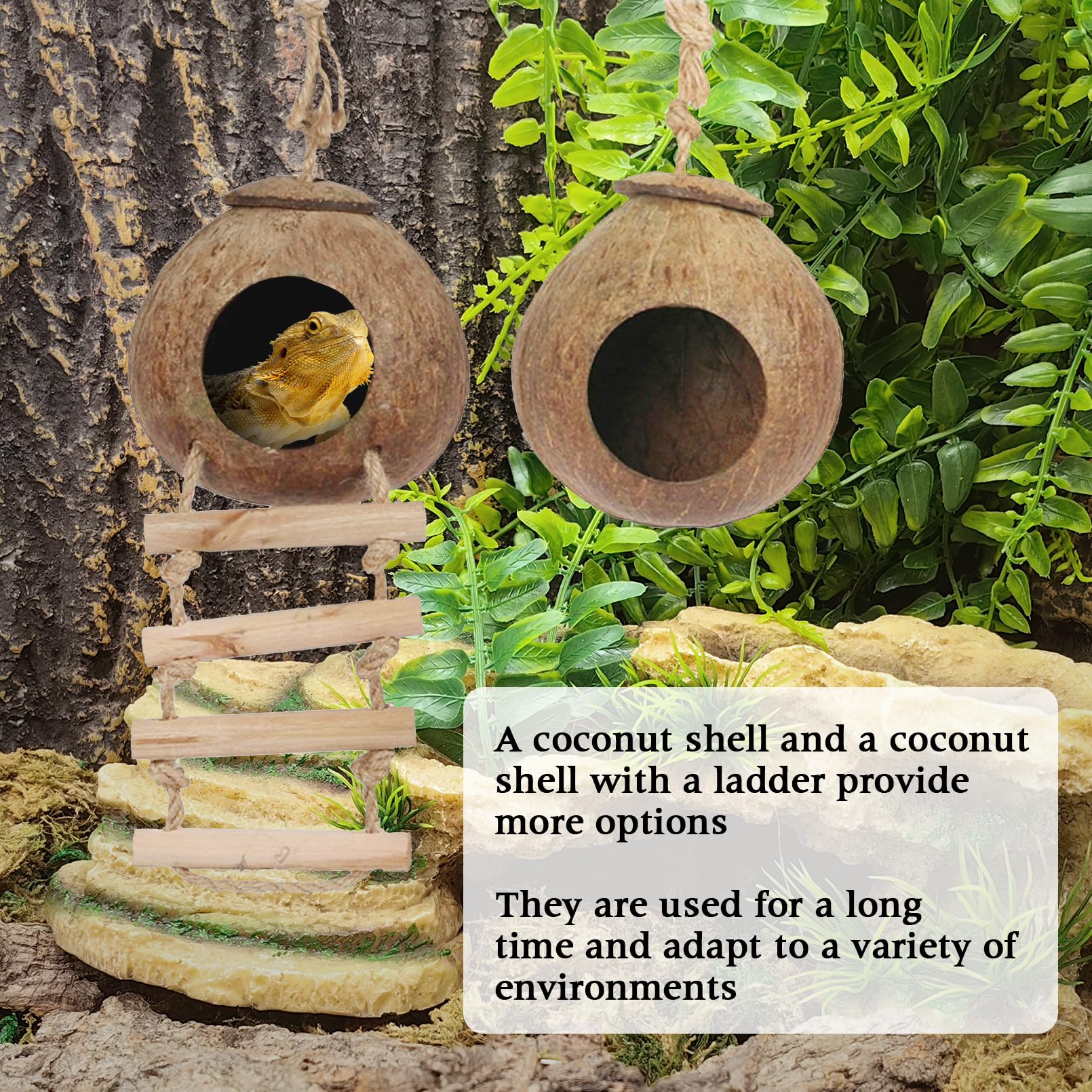 Hamiledyi Lizard Coco Den Reptile Hideouts Gecko Coconut Shell Hut Coconut hut for Geckos Bearded Dragon Tank Accessories Coconu