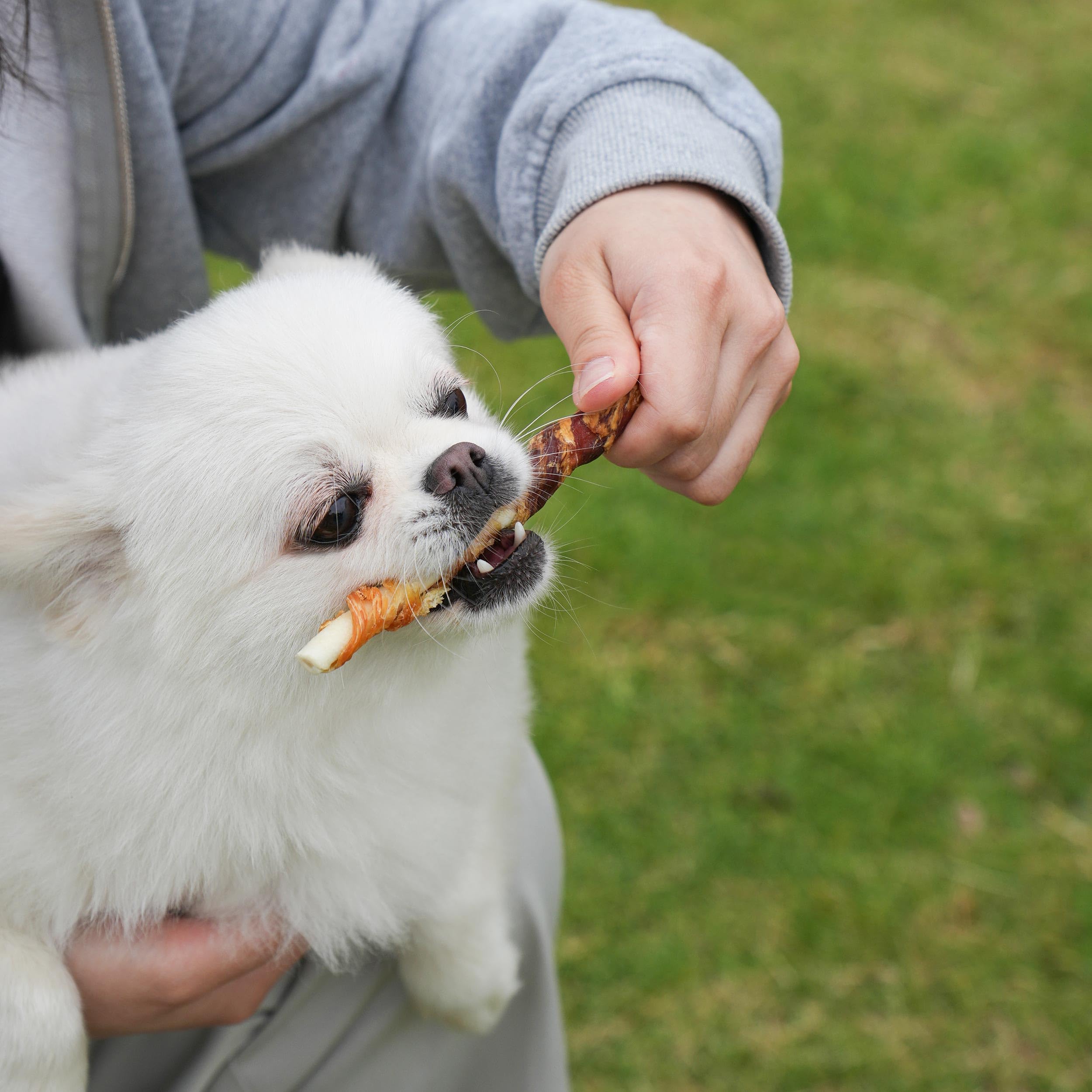 MON2SUN Dog Treats 5 Inch Double Flavor Chicken & Duck Wrapped Rawhide Sticks, Teeth Cleaning for Small Dogs, 21.16 oz (40 Count