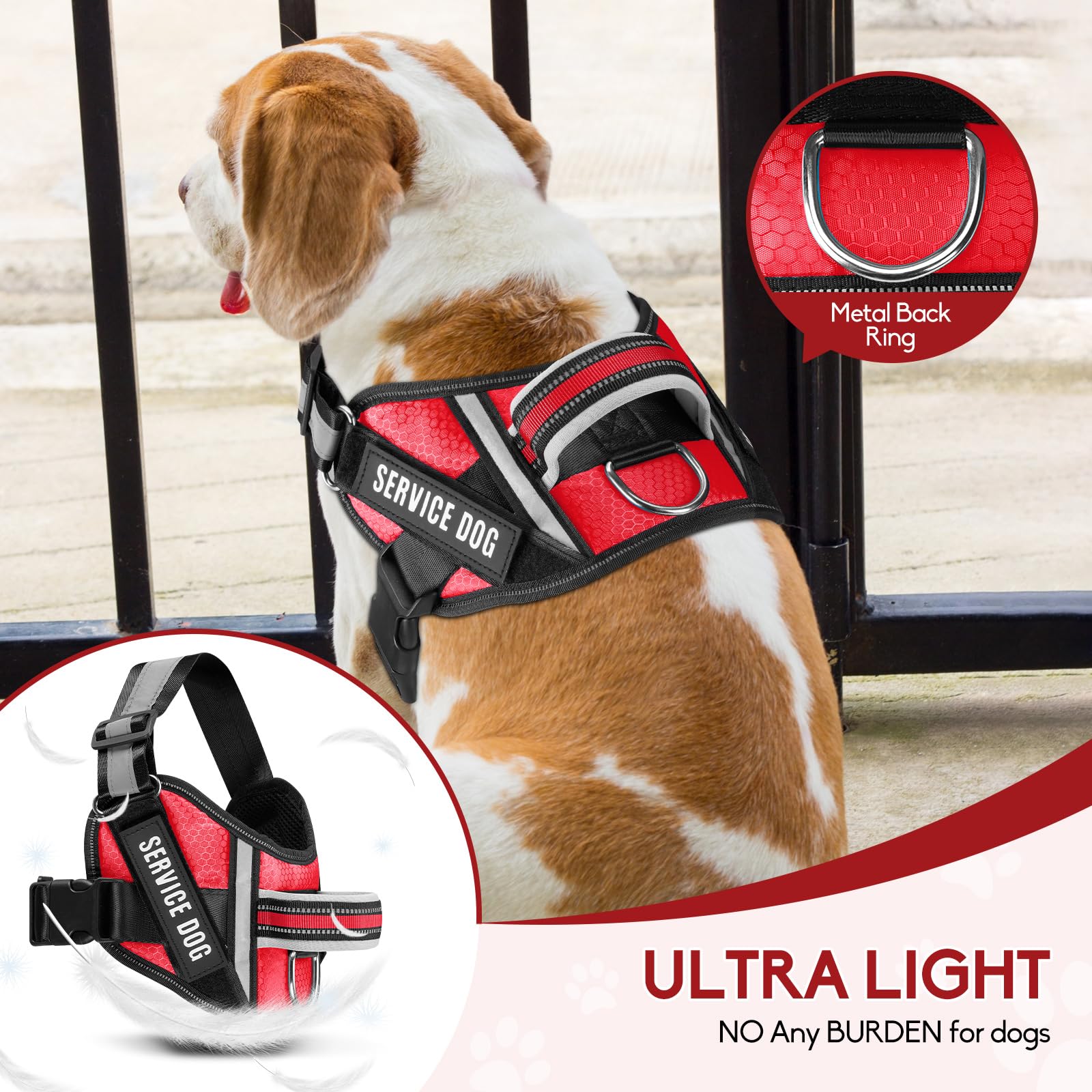 Service Dog Vest Harness And Leash Set, Animire In Training Dog Harness With 8 Dog Patches, Reflective Dog Leash With Soft Padded Handle For Small, Medium, Large, And Extra-Large Dogs (Red,M)