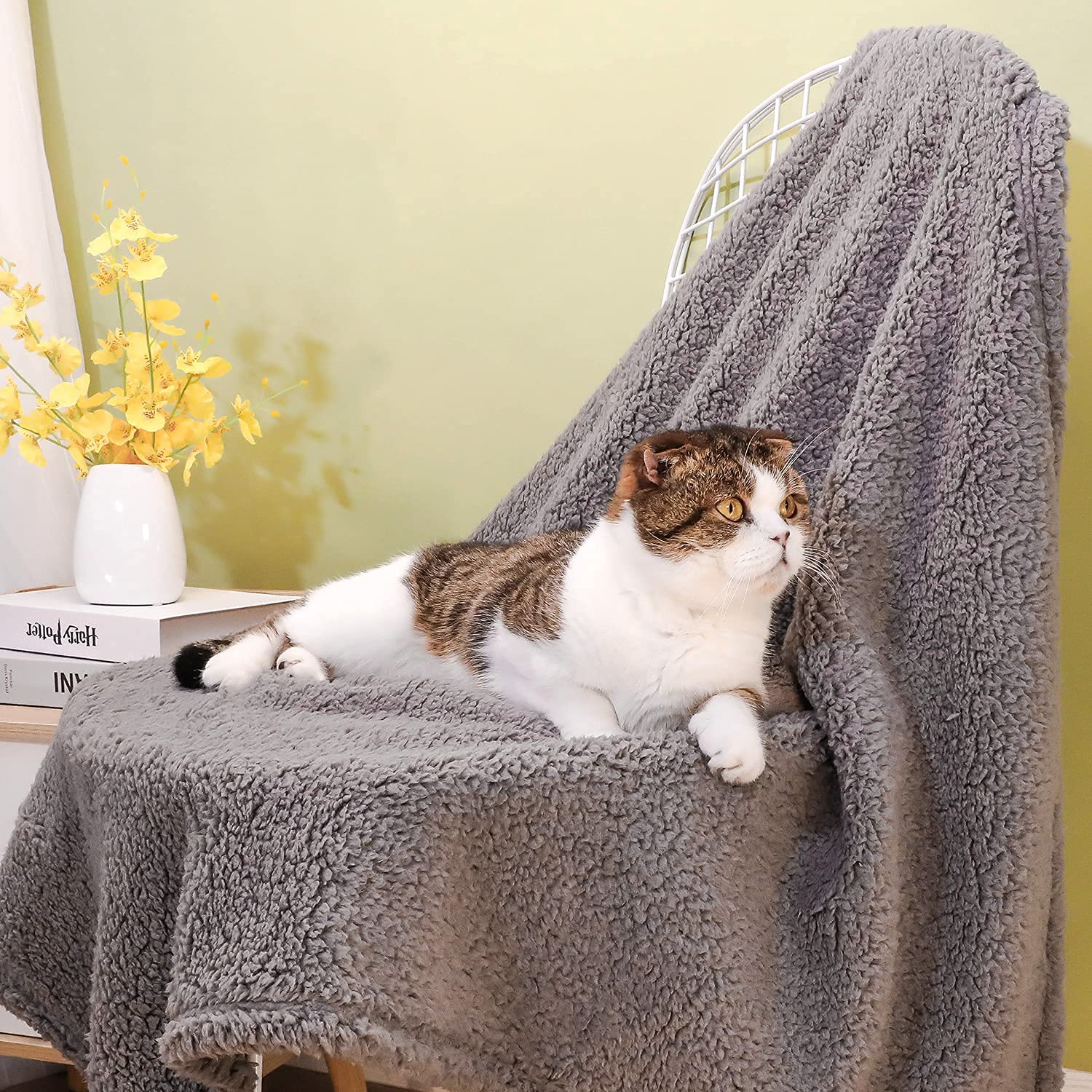 Xinsource 2 Pack Dog Blanket For Medium Size Dogs & Cats Soft Sherpa Fleece Pet Blanket Throw For Sofa, Couch Thick Durable Pet
