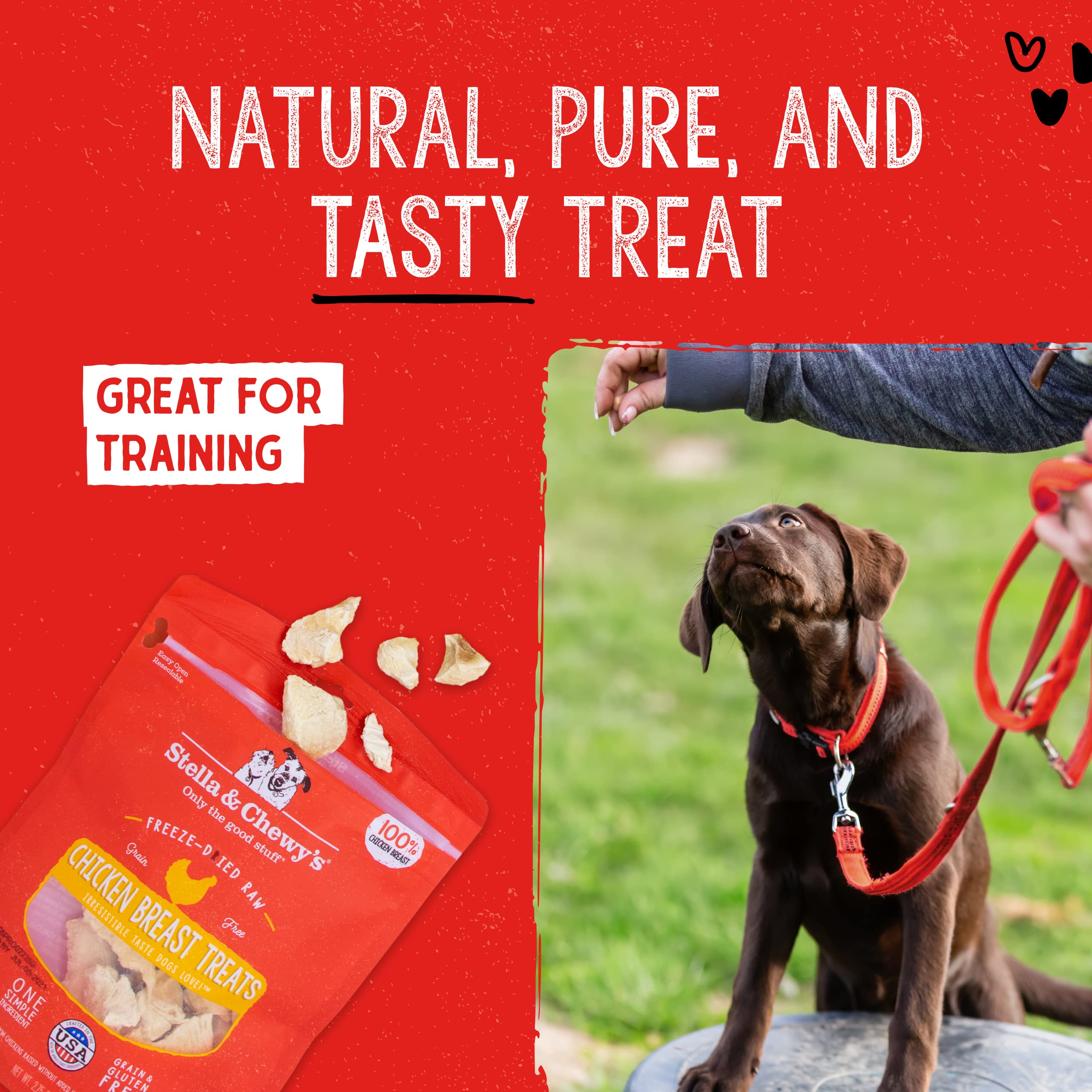 Stella & Chewys Freeze-Dried Raw Single Ingredient Chicken Breast Treats, 2.75 oz. Bag
