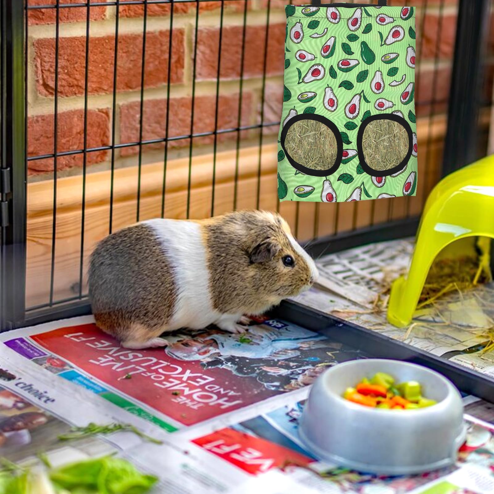 Abtols 2Pcs Rabbit Hay Feeder Bags, Hanging 2 Hole Hay Feeder For Guinea Pigs Chinchillas Hamsters Red Green Strawberry Avocado