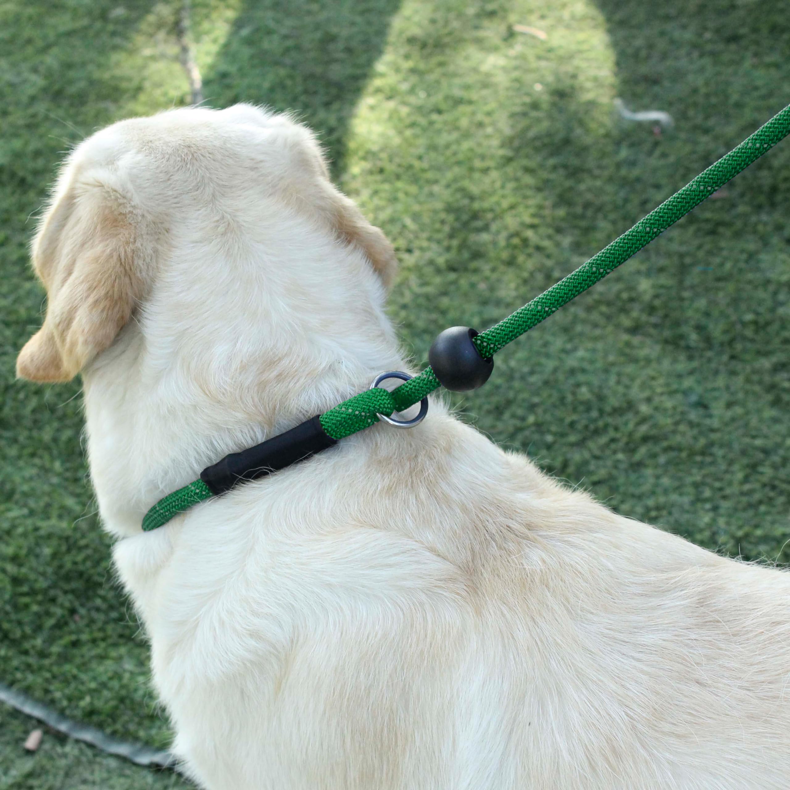 Hiado Slip Lead Dog Leash Reflective With Stopper Loop Rope Training No Pull For Small Medium Large Dogs 7Ft Green