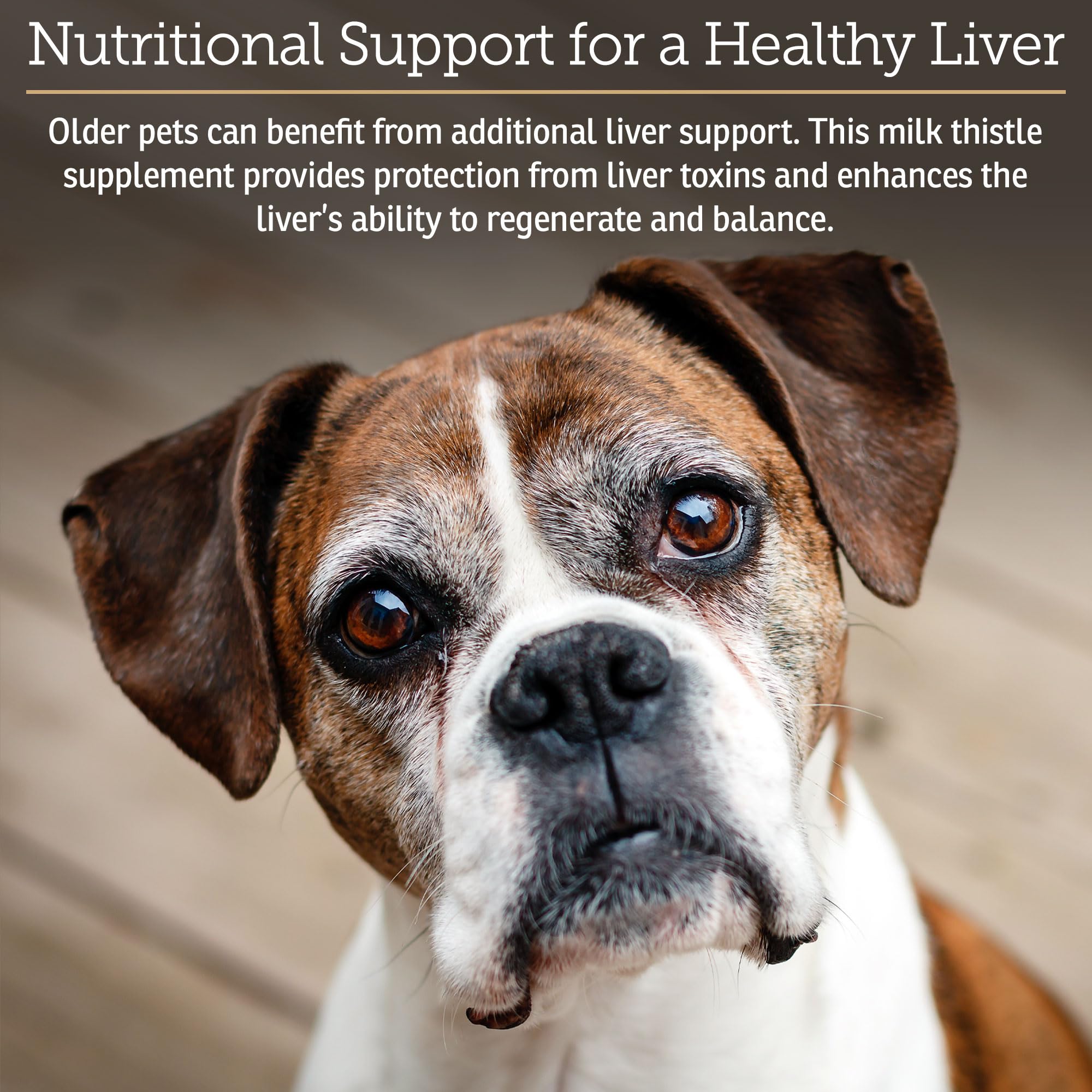 Rx Vitamins Liquid Hepato Support for Dogs & Cats - Liver Support Supplement with Milk Thistle for Dogs (Silymarin & Silybinin)