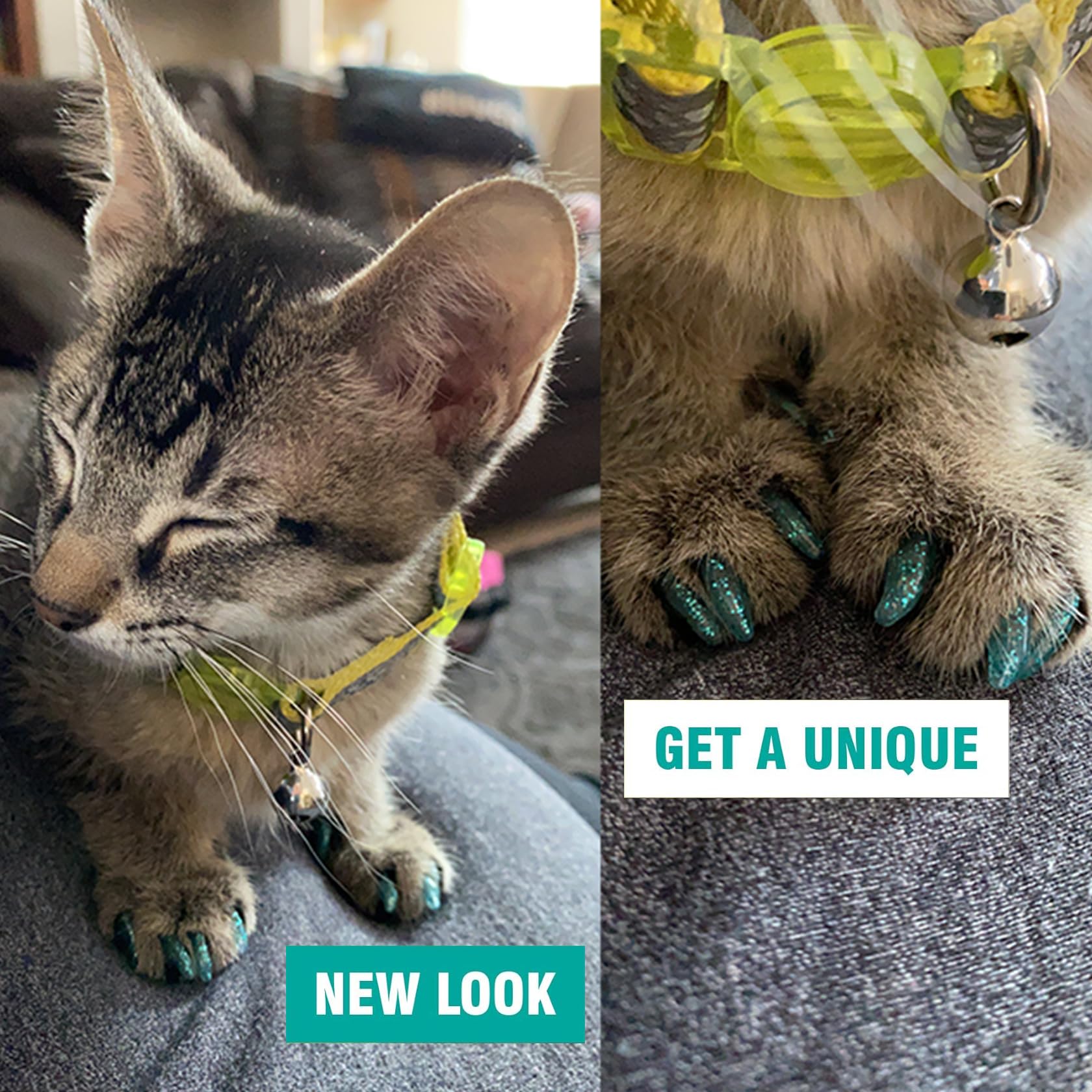 Miiouu 10X Colors / 100 Pcs Cat Nail Caps | Cat Claw Covers With Adhesives And Applicators | Beta (S)