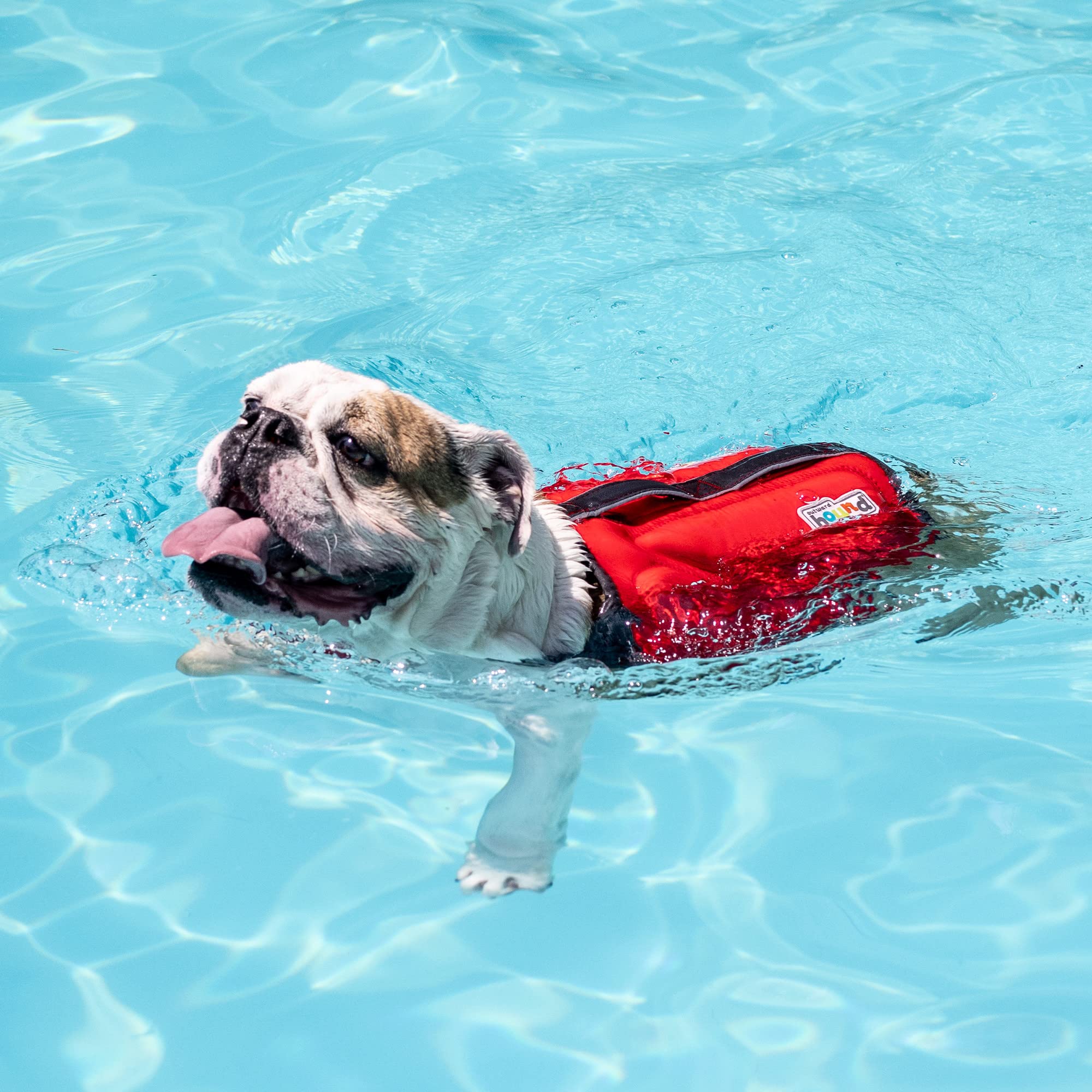 Outward Hound Dawson Swim Red Dog Life Jacket, Small