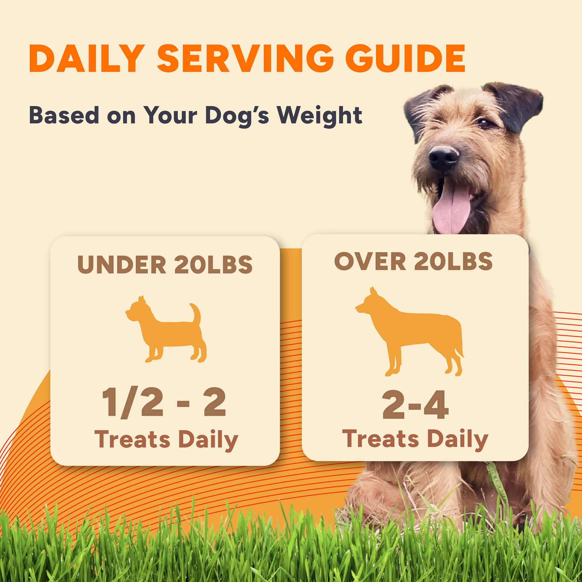 Gaines Family Farmstead Dog Treats - Grain-Free Sweet Potato Bones, 8 oz, All-Natural for Digestion, Skin & Energy, Made in USA