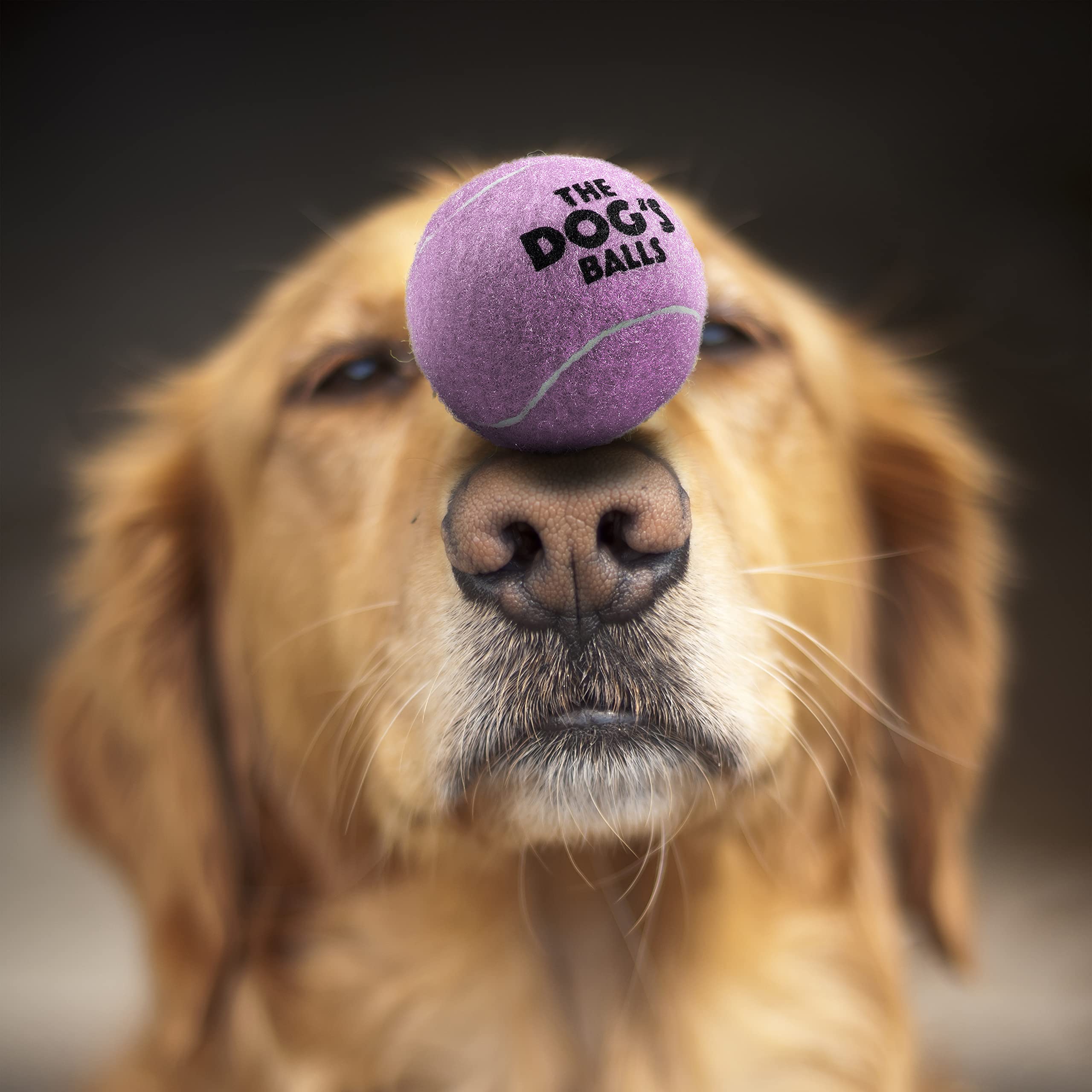 The Little Dog'S Balls, Dog Tennis Balls, 6-Pack Lilac Dog Toy, Strong Dog & Puppy Ball For Training, Play, Exercise & Fetch