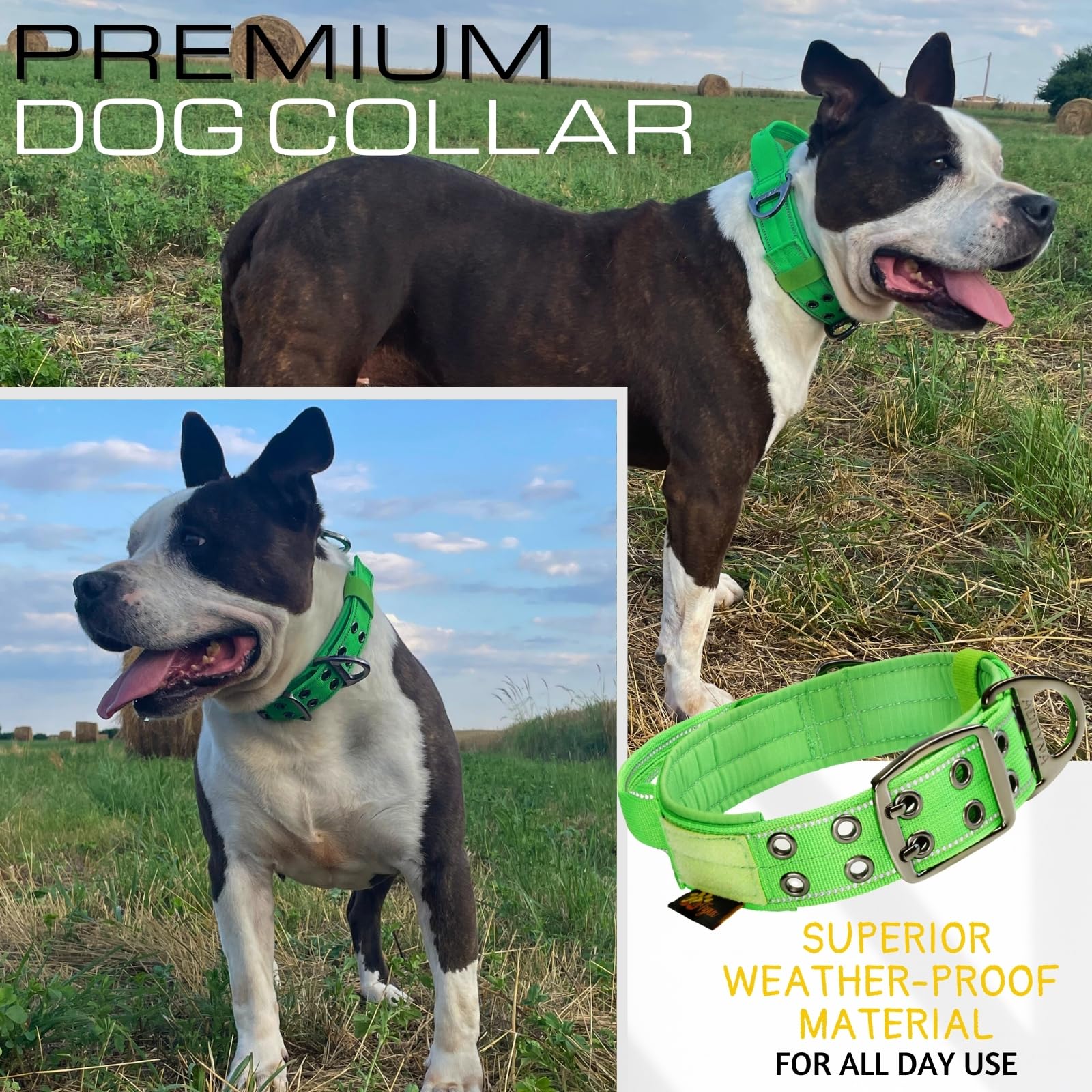 Adityna Heavy Duty Dog Collar For Medium Dogs - Reflective Green Collar With Handle For Training, And Walking - Wide, Thick, Tac