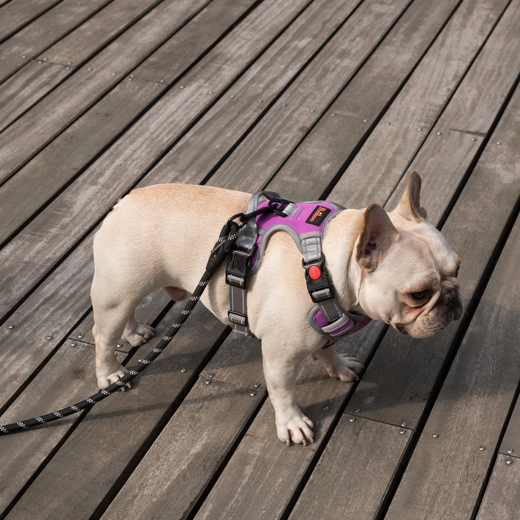 Coohom No Pull Dog Harness With Handle And Two Leash Attachments,Adjustable Outdoor Pet Harness With Reflective Oxford Material