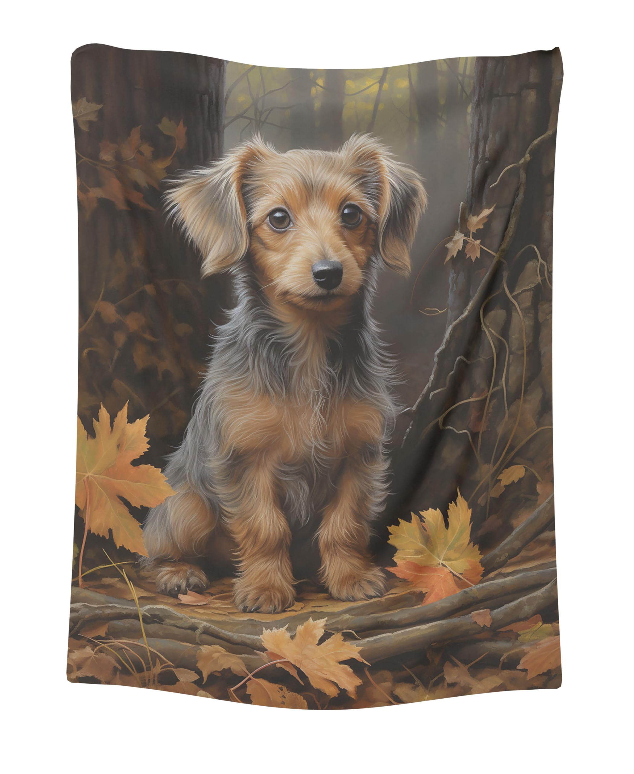 CAPITUNEISKINEPA Doxiepoo Dog Blanket Gift Decorative Blanket Small Blanket for Travel 30 x 40