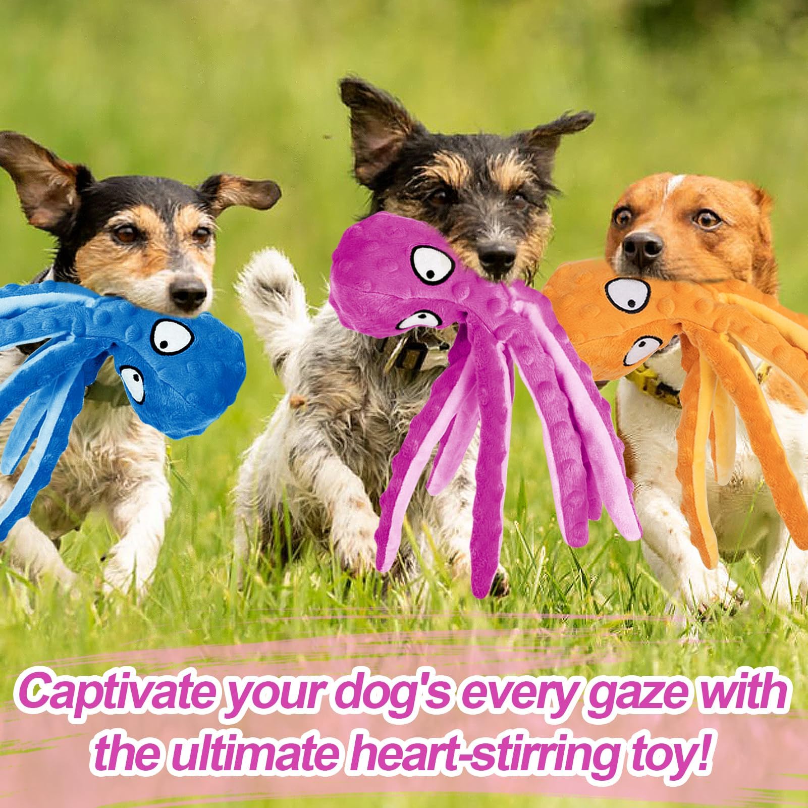 Alphatool Squeaky Dog Toys, Octopus Dog Toys For Aggressive Chewers, Tough No Stuffing Plush Dog Toys For Large Dogs, Crinkle Interactive Puppy Dog Toys For Small Medium Dogs(3Pcs)