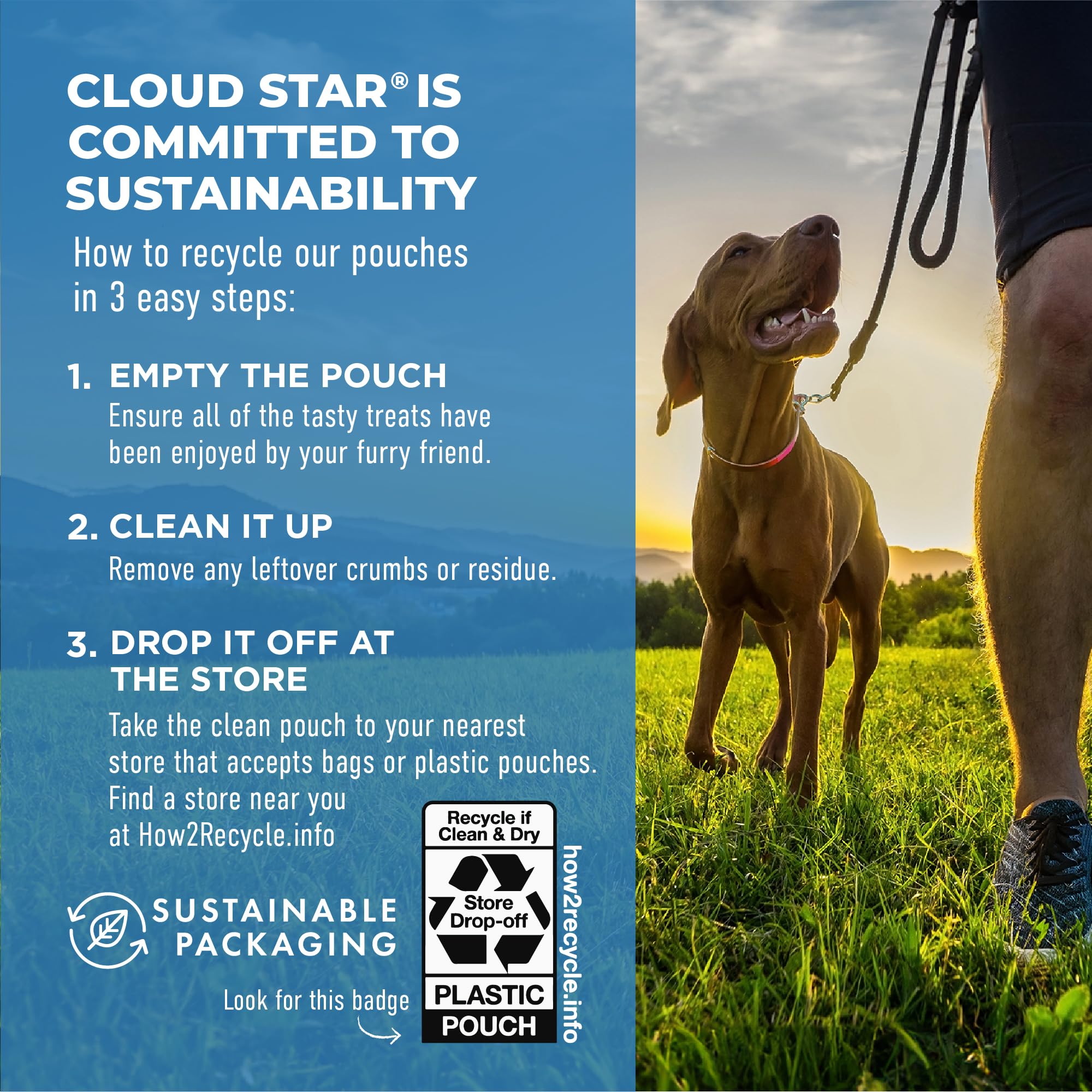 Cloud Star Dynamo Dog Soft Chews Hip & Joint Grain Free Dog Treats, Bacon & Cheese, 14 oz. Pouch