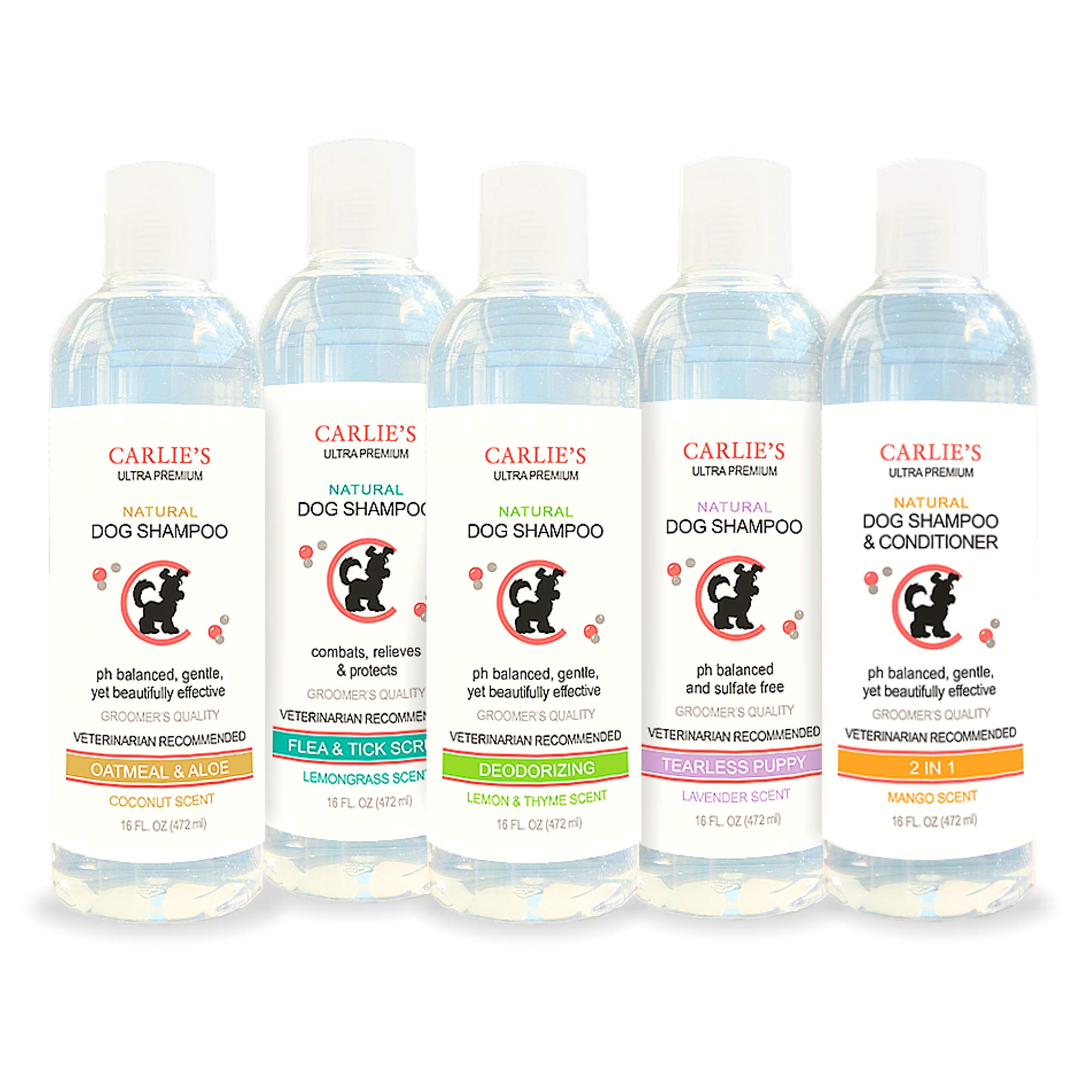 Scoochie Pets Dog Shampoo & Conditioner| Skin Soothing, Ph Balanced| Deodorizing, Moisturizing & Detangling Action| Hypoallergenic & Veterinarian Recommended Pet Grooming (Coconut - Oatmeal & Aloe)