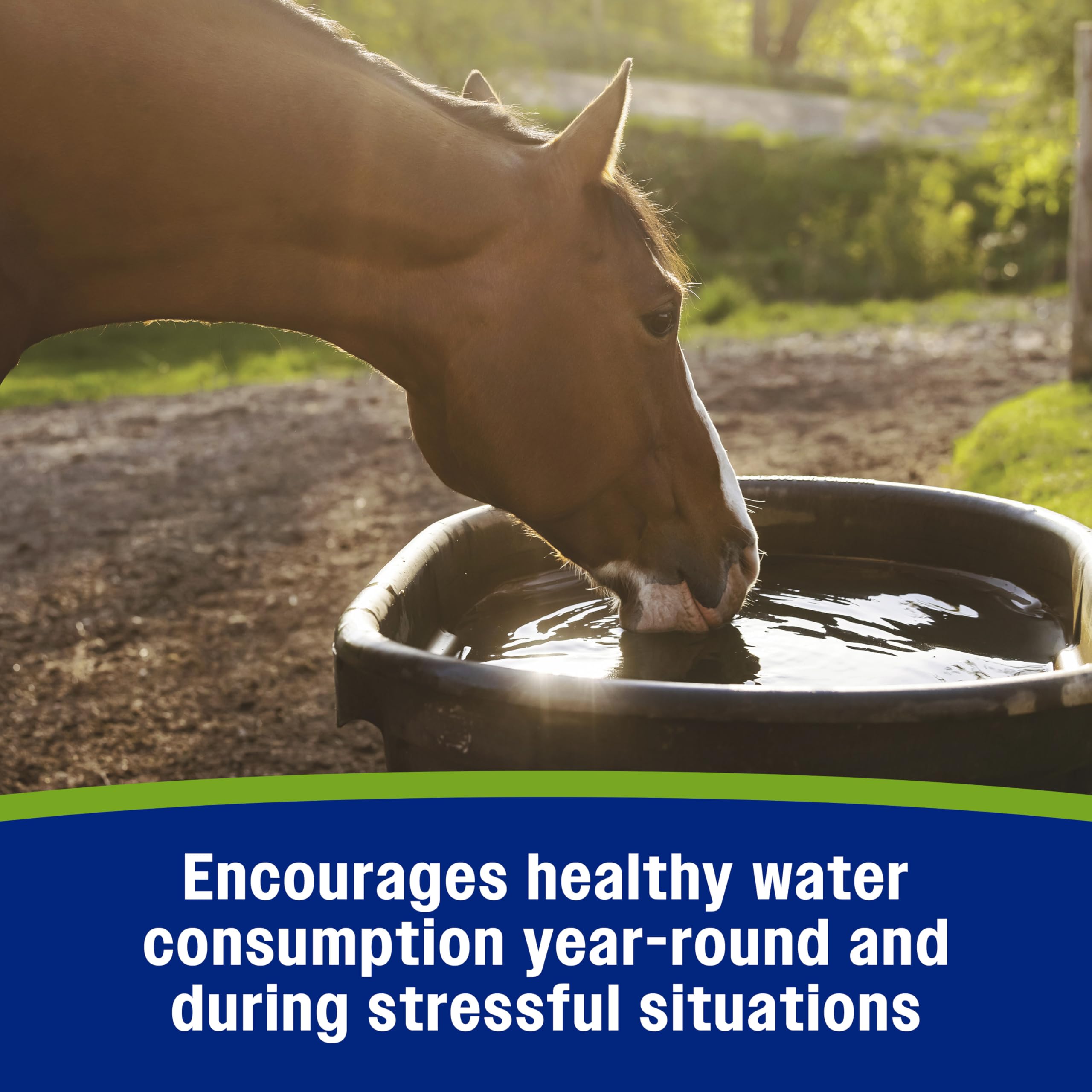 Farnam Apple Elite Electrolyte Pellets, Replaces Minerals Lost in Sweat During Exercise, Extreme Weather and Stressful Condition