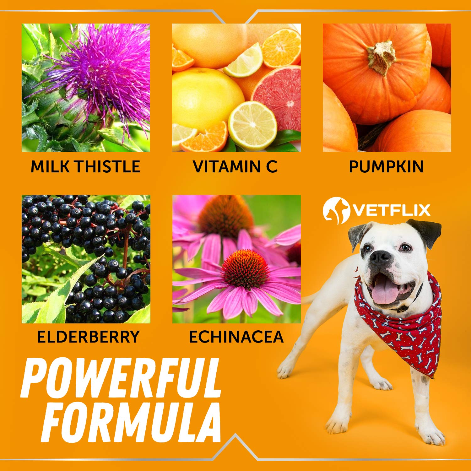 Allergy Immune Anti Itch & Hot Spots - Made in USA Natural Pet Supplement for Cat & Dog Allergy Relief with Turmeric & Milk This