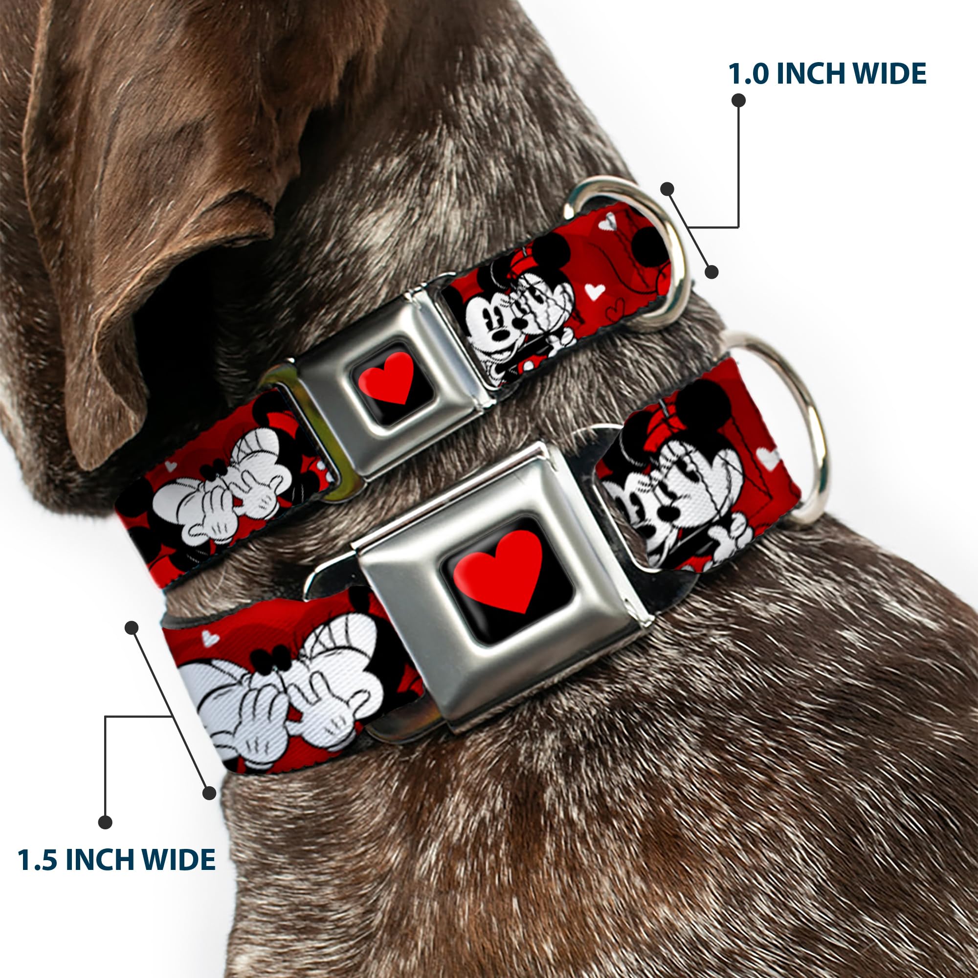 Dog Collar Seatbelt Buckle Mickey Minnie Hugs Kisses Poses Reds White 11 To 17 Inches 1.0 Inch Wide
