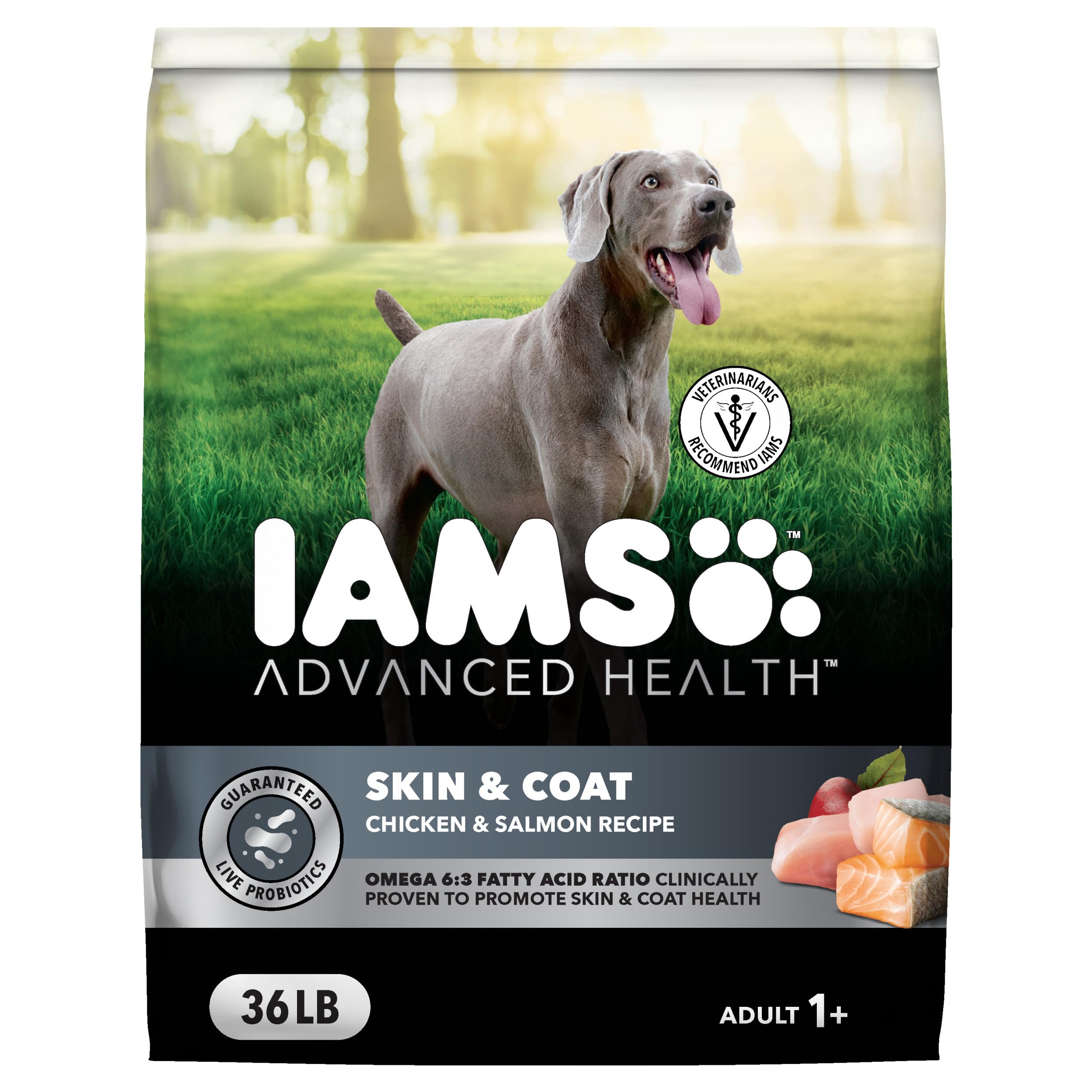 IAMS Advanced Health Skin & Coat Chicken and Salmon Recipe Adult Dry Dog Food, 36 lb. Bag Brown