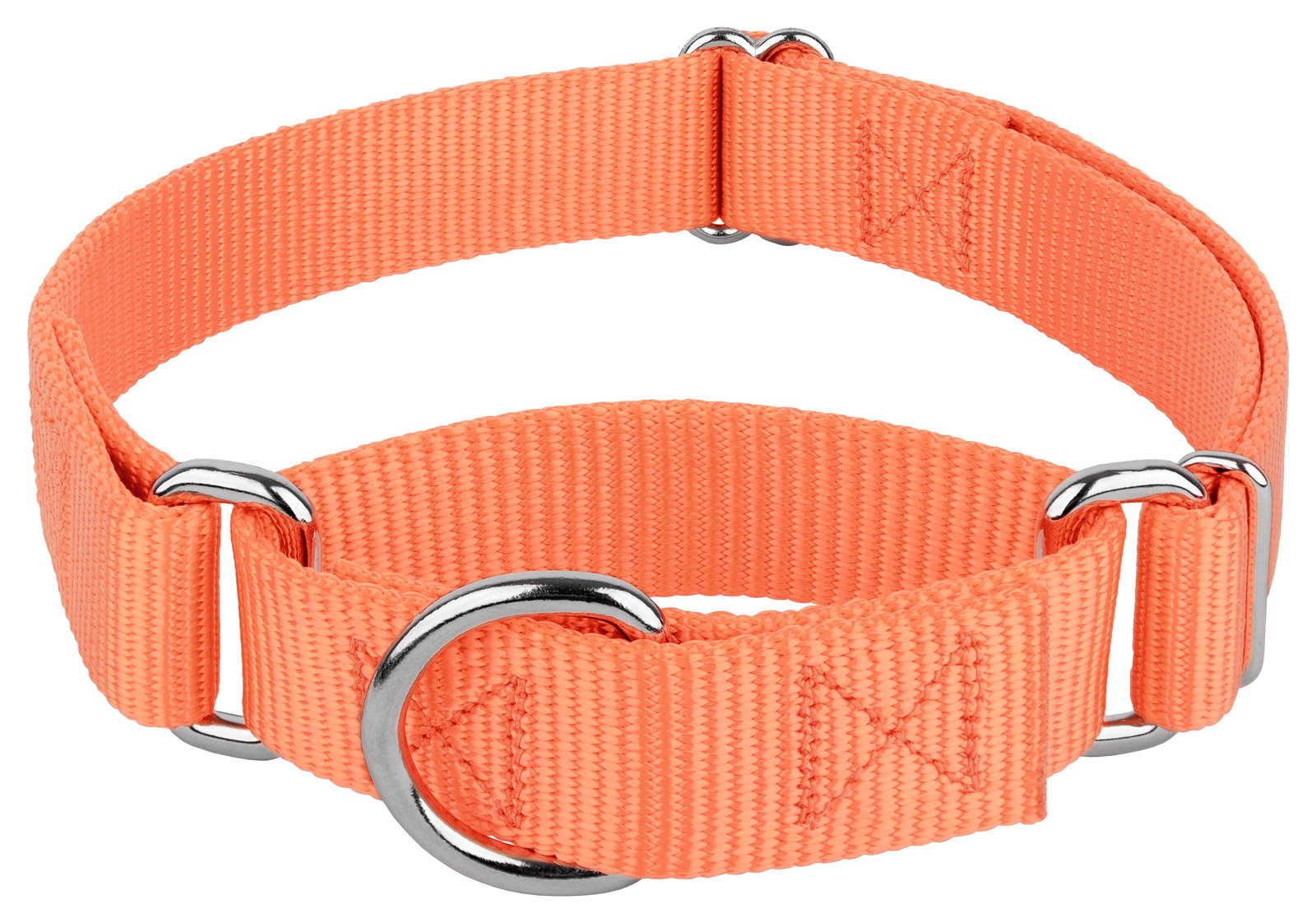 Country Brook Design - Mango Martingale Heavy Duty Nylon Dog Collar - 21 Vibrant Color Options (1 Inch Width, Large)